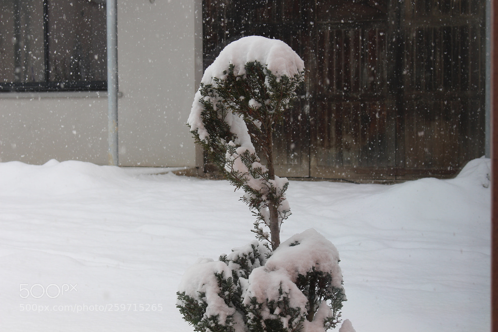 Canon EOS 700D (EOS Rebel T5i / EOS Kiss X7i) sample photo. Snow photography