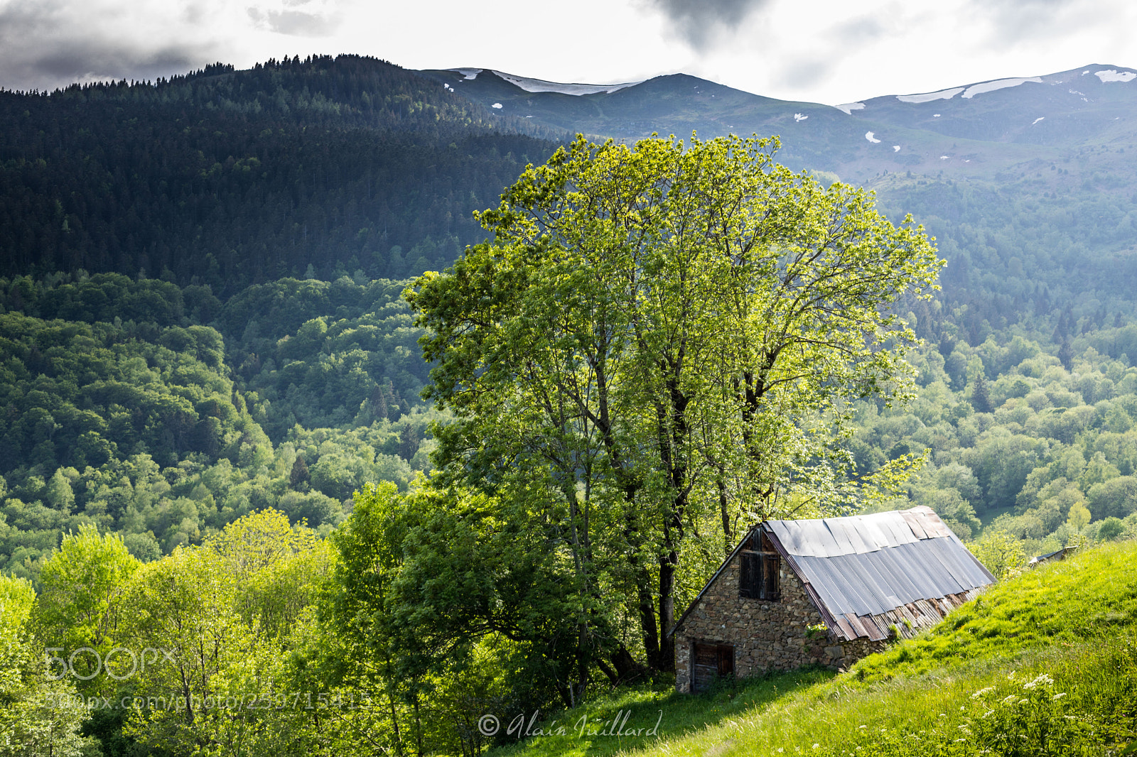 Canon EOS 6D Mark II sample photo. Grange photography