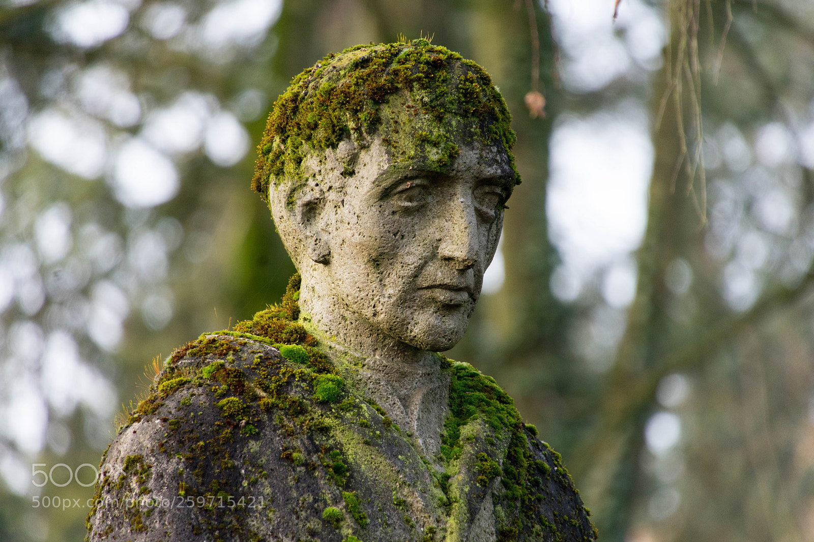 Sony a7 II sample photo. The philosopher photography