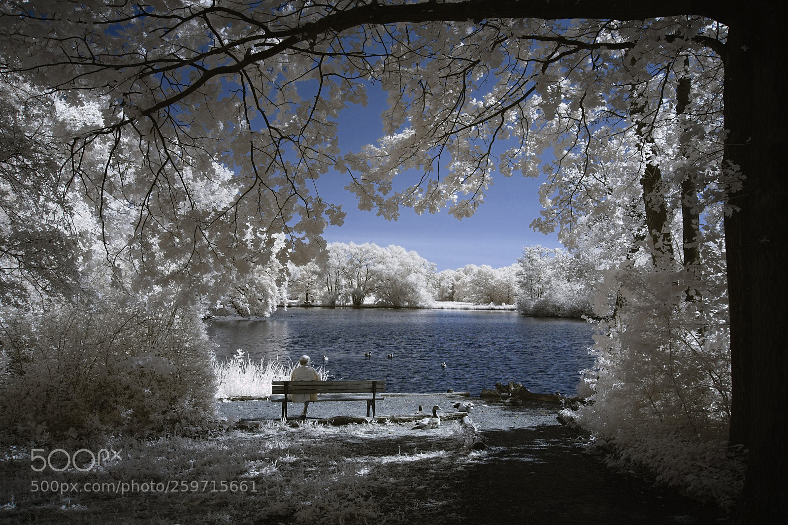 Sony a7 sample photo. Parallel world photography