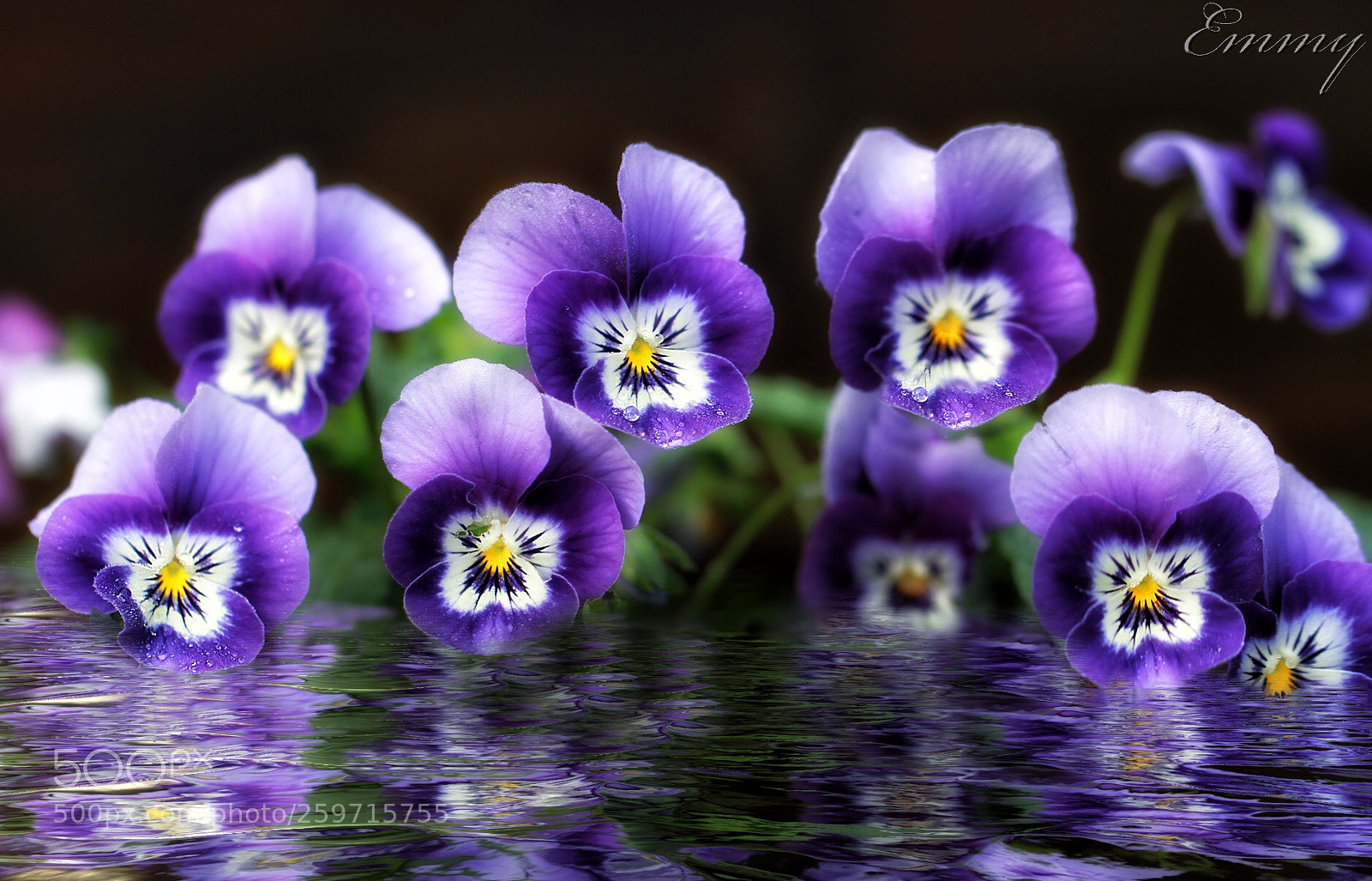 Canon EOS 7D sample photo. Gossip  photography