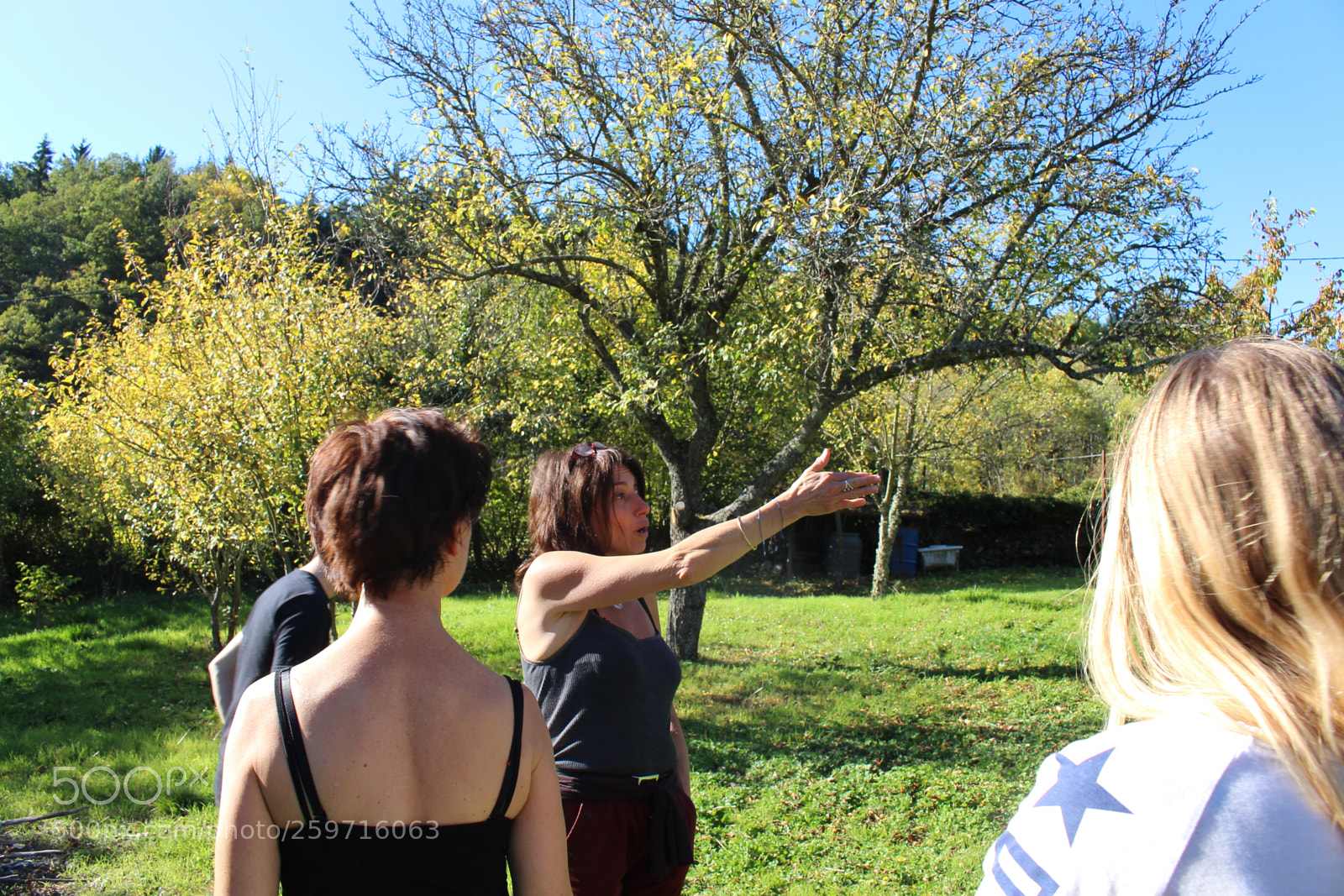 Canon EOS 700D (EOS Rebel T5i / EOS Kiss X7i) sample photo. Img photography