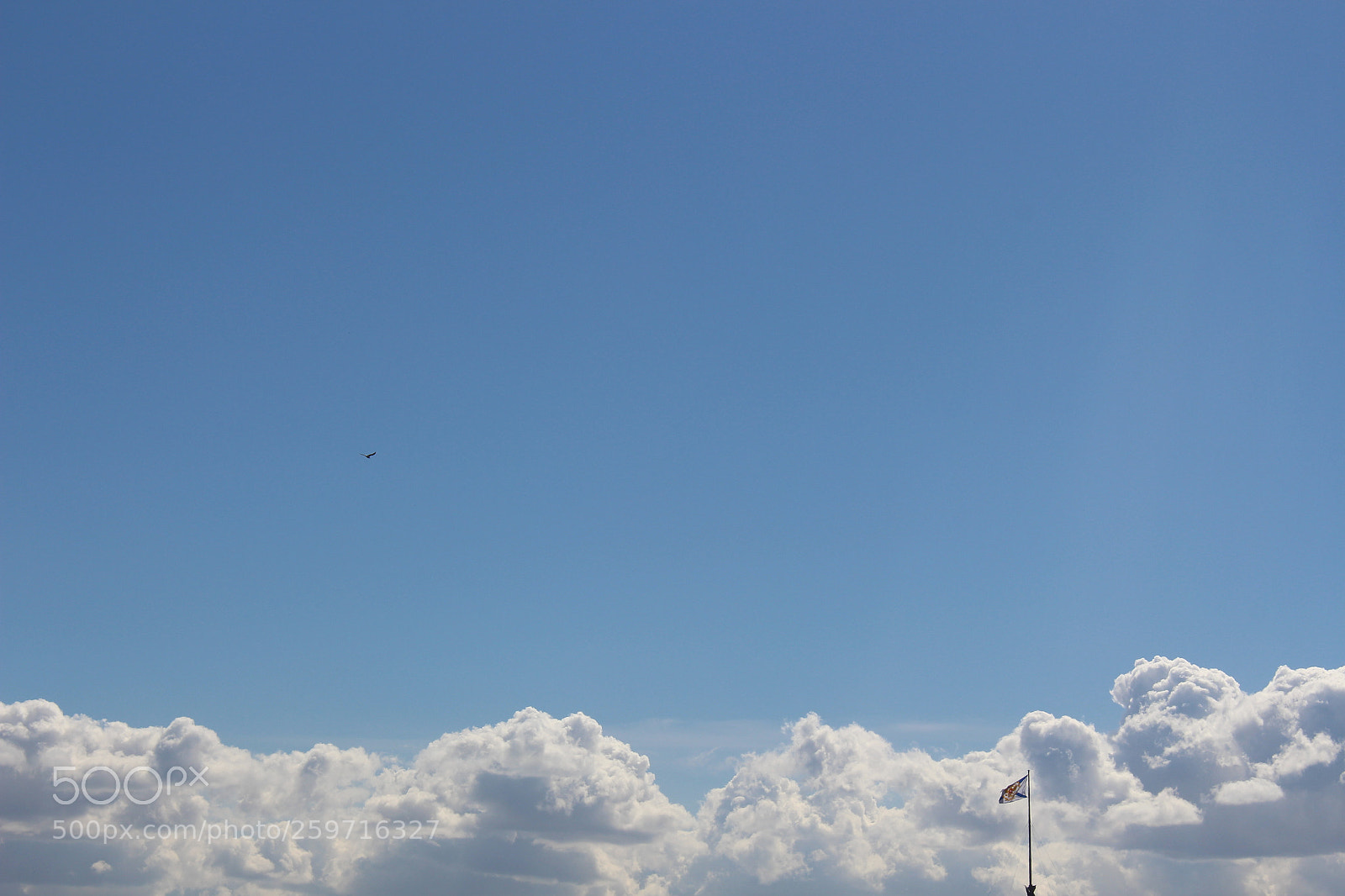 Canon EOS 700D (EOS Rebel T5i / EOS Kiss X7i) sample photo. Voyage - saint petersbourg photography