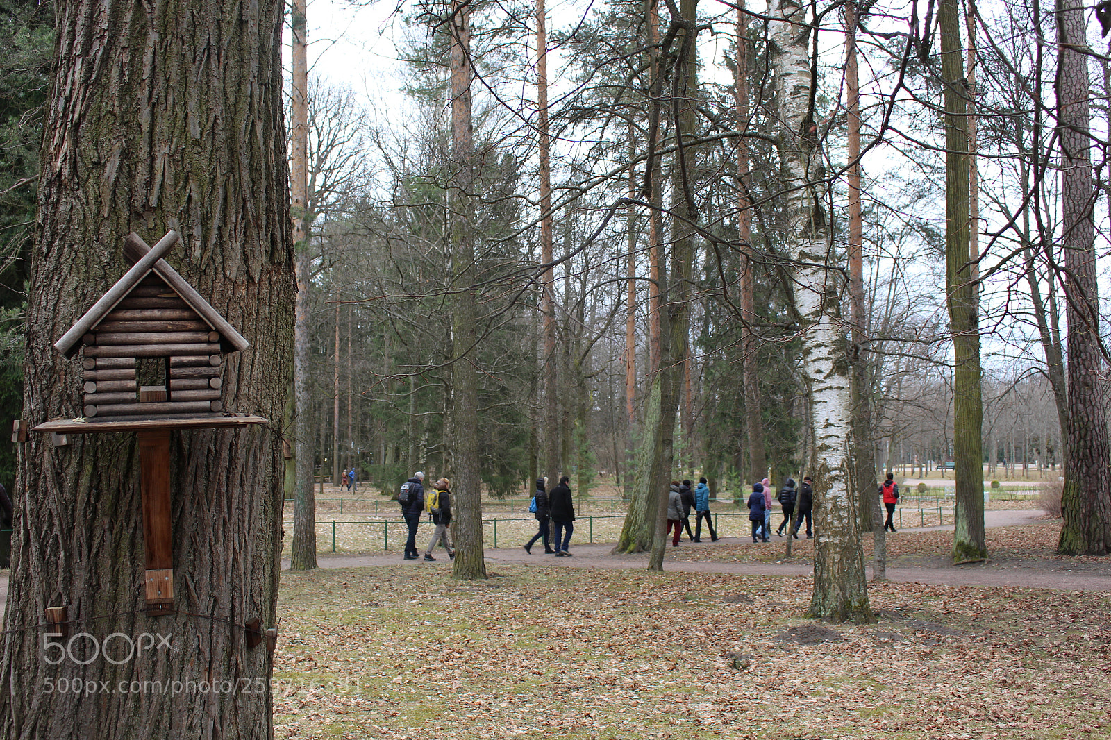 Canon EOS 700D (EOS Rebel T5i / EOS Kiss X7i) sample photo. Voyage - saint petersbourg photography