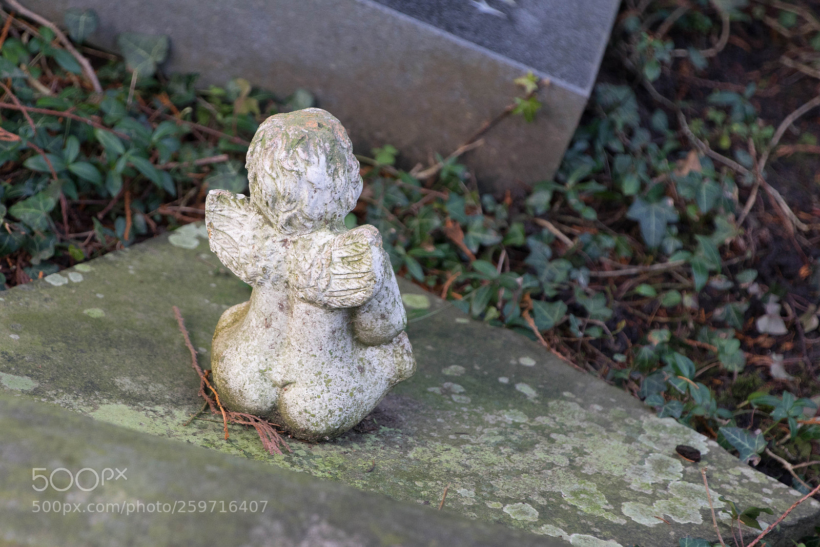 Sony a7 II sample photo. Backside of an angel photography