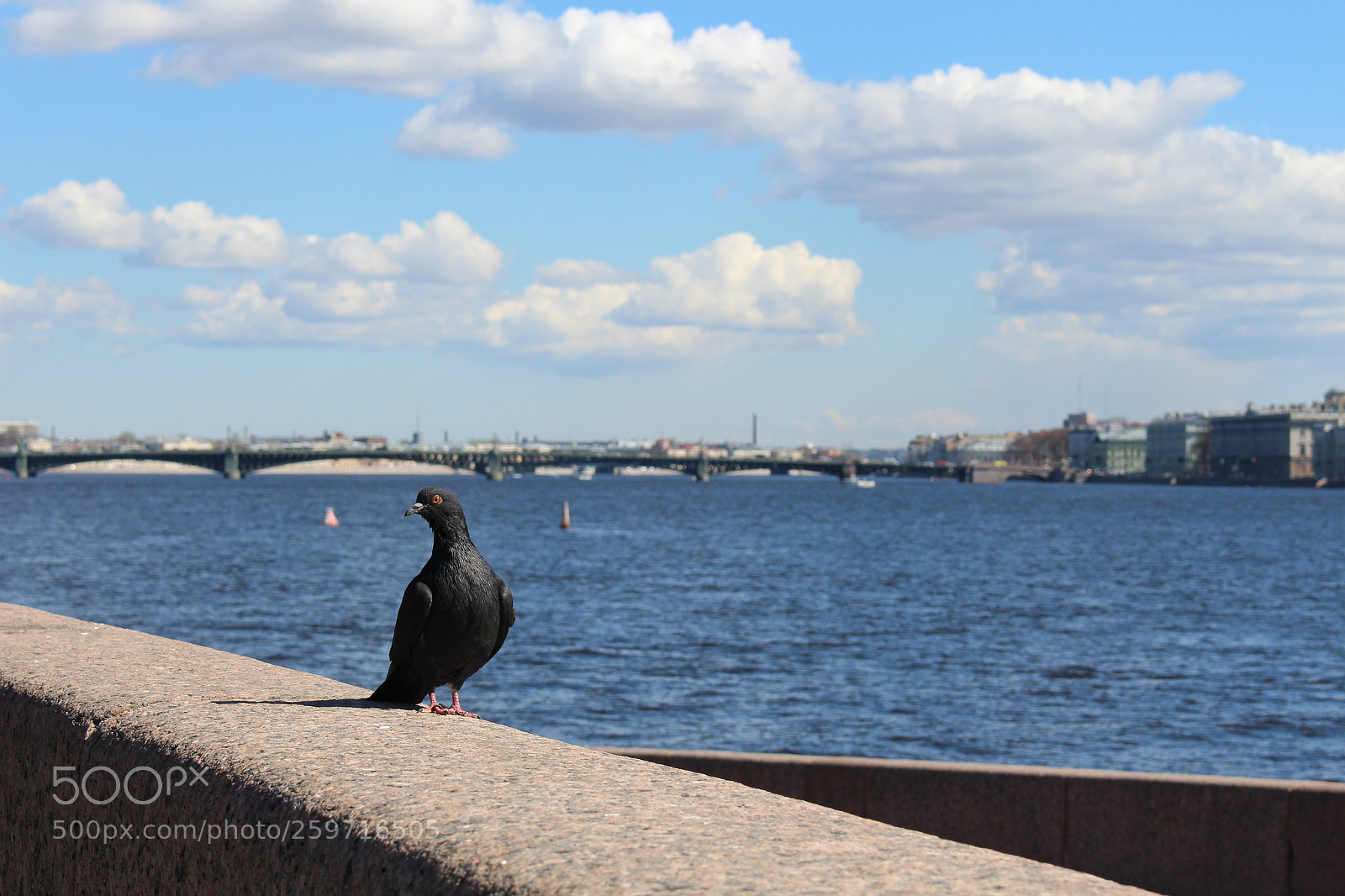 Canon EOS 700D (EOS Rebel T5i / EOS Kiss X7i) sample photo. Voyage - saint petersbourg photography