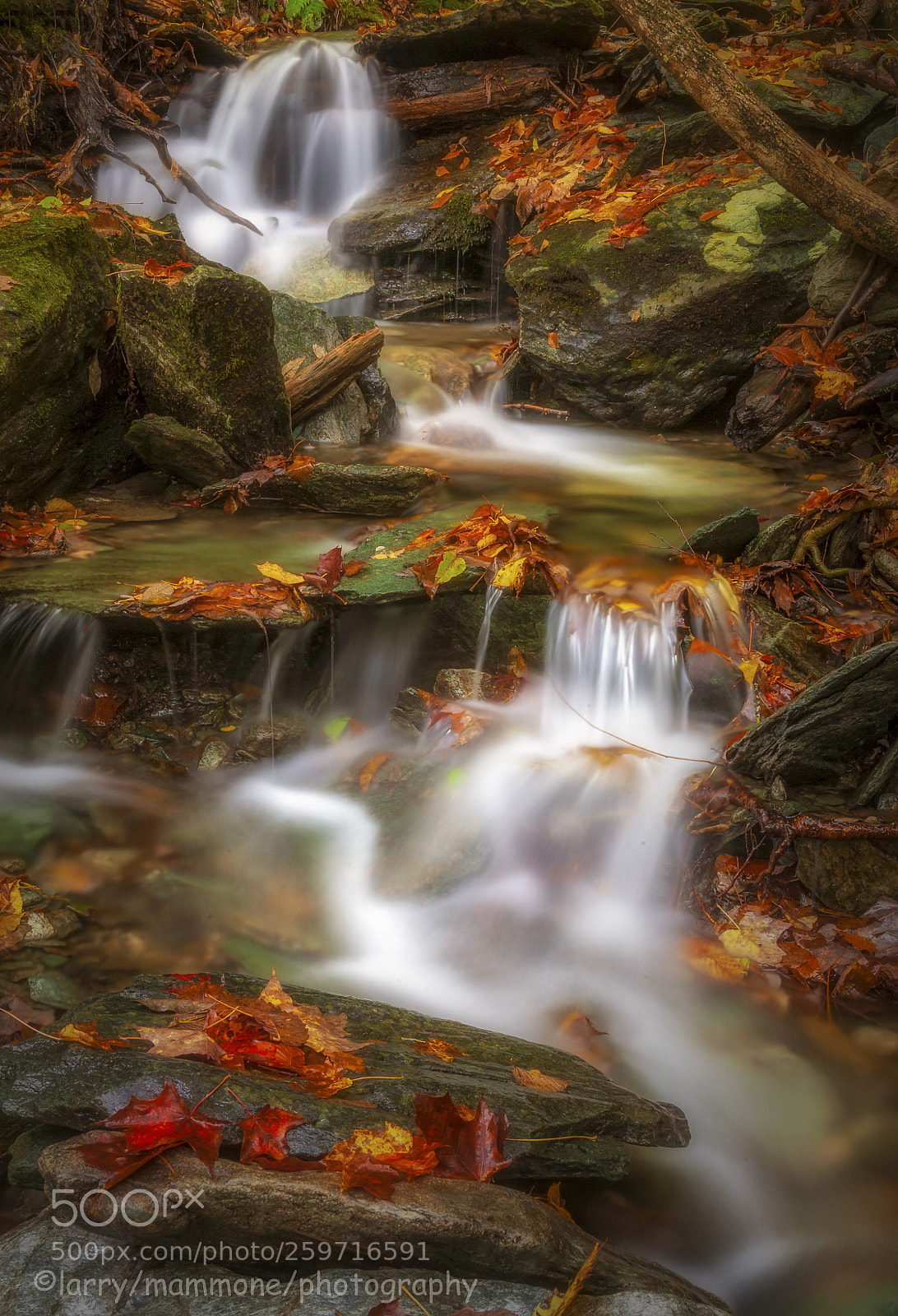 Canon EOS 5D sample photo. Autumn dream photography