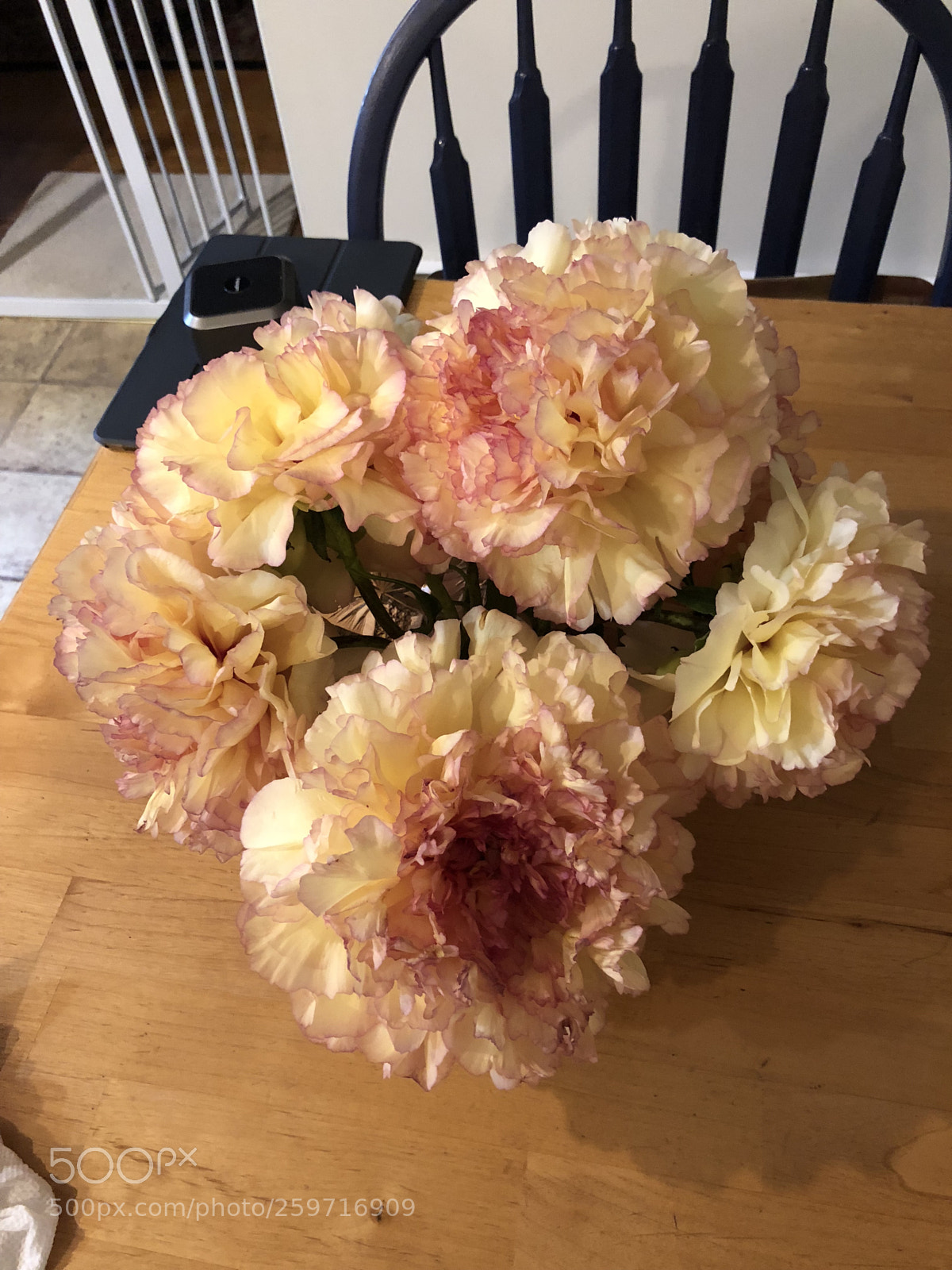 Apple iPhone 8 sample photo. Spring flowers photography