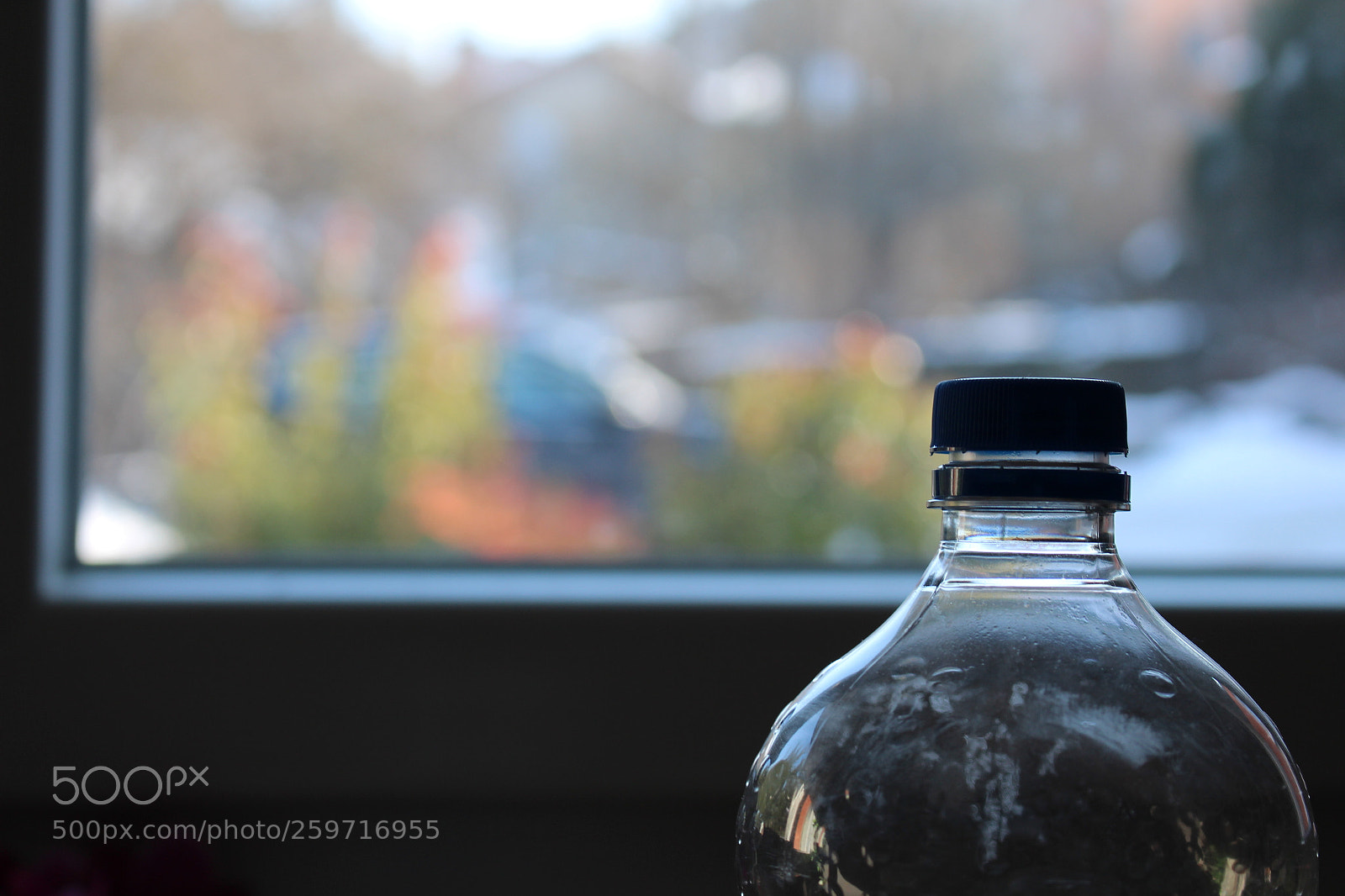 Canon EOS 700D (EOS Rebel T5i / EOS Kiss X7i) sample photo. Experiences photography
