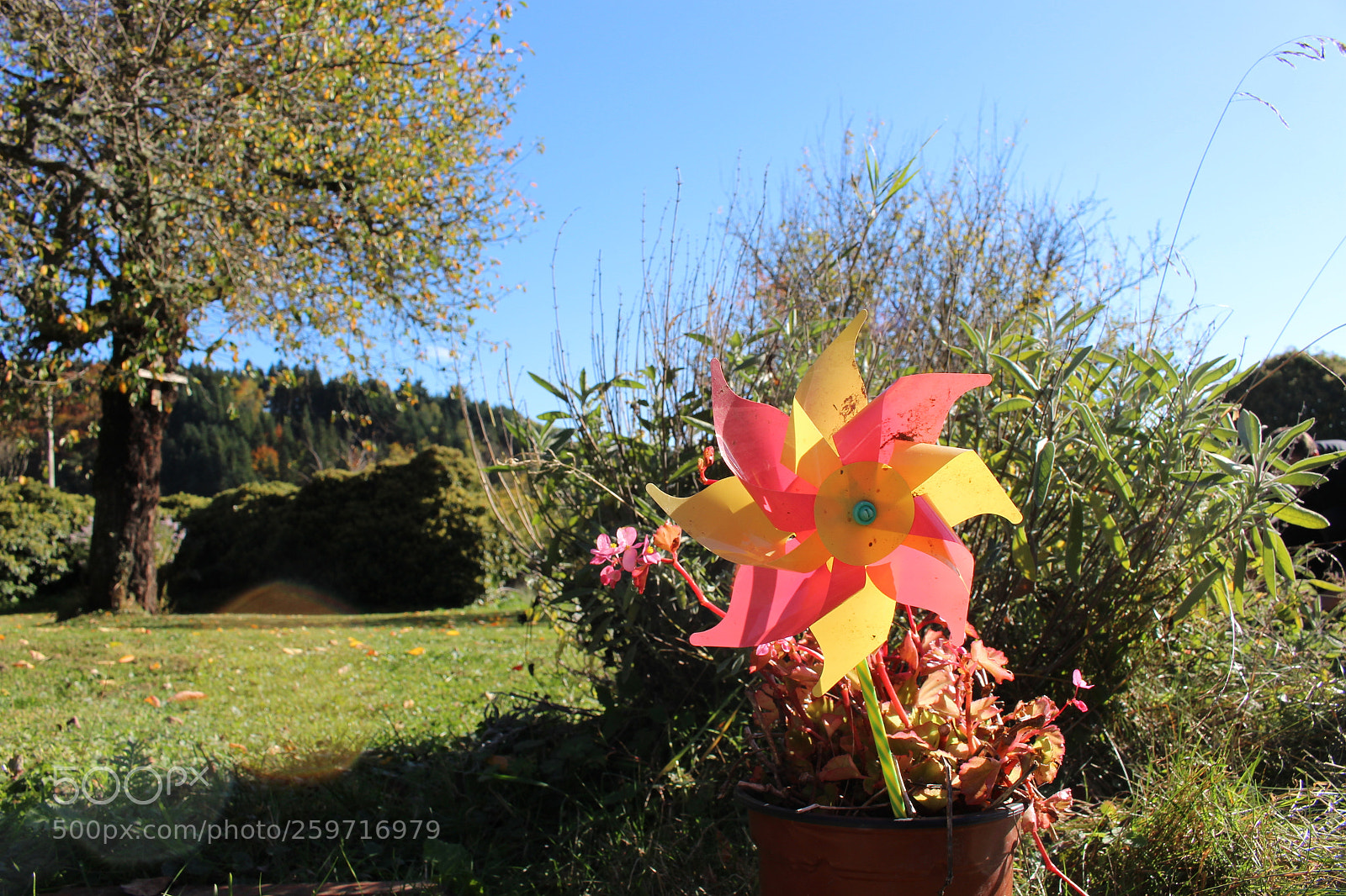 Canon EOS 700D (EOS Rebel T5i / EOS Kiss X7i) sample photo. Experiences photography