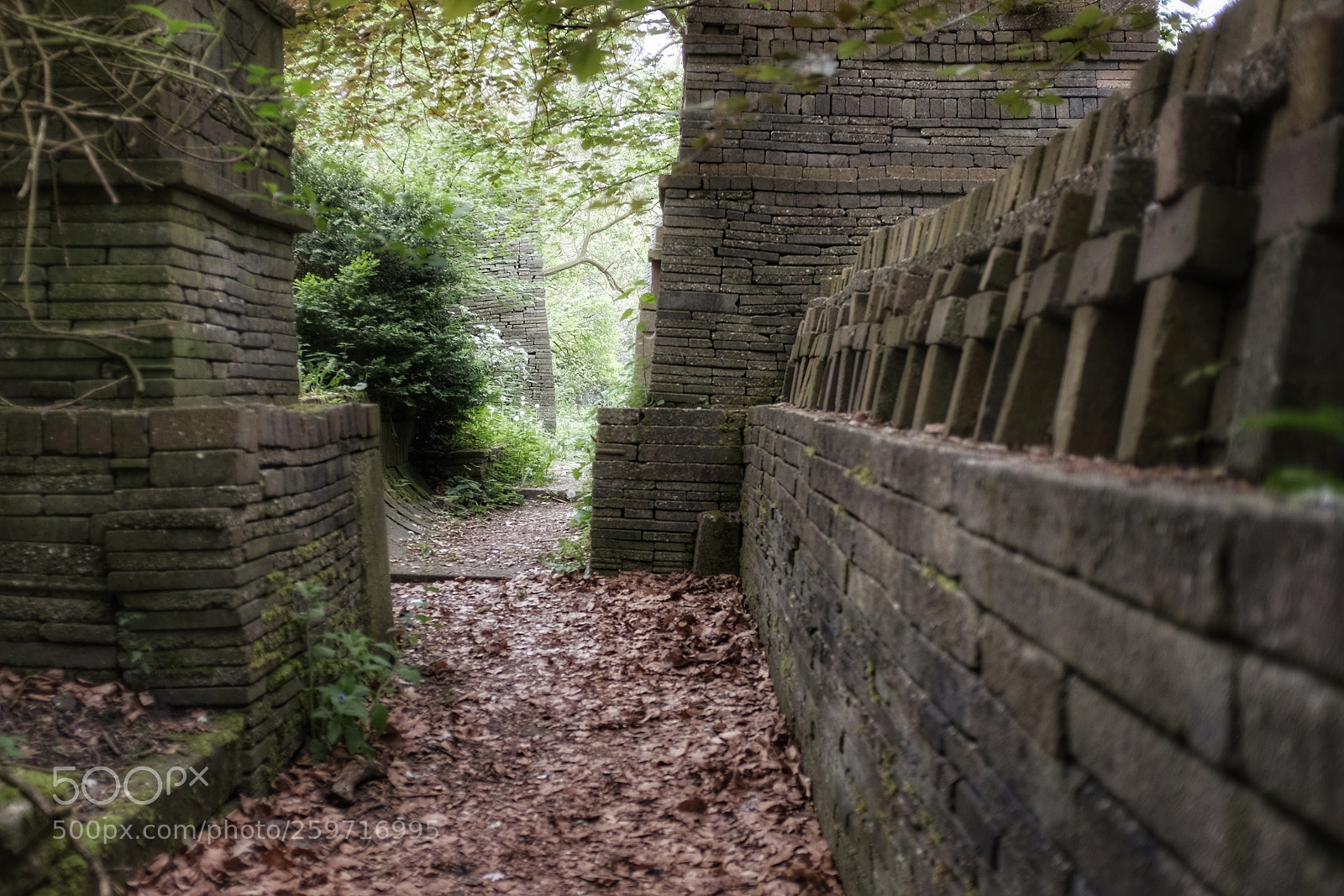 Fujifilm X100S sample photo. A quiet place photography