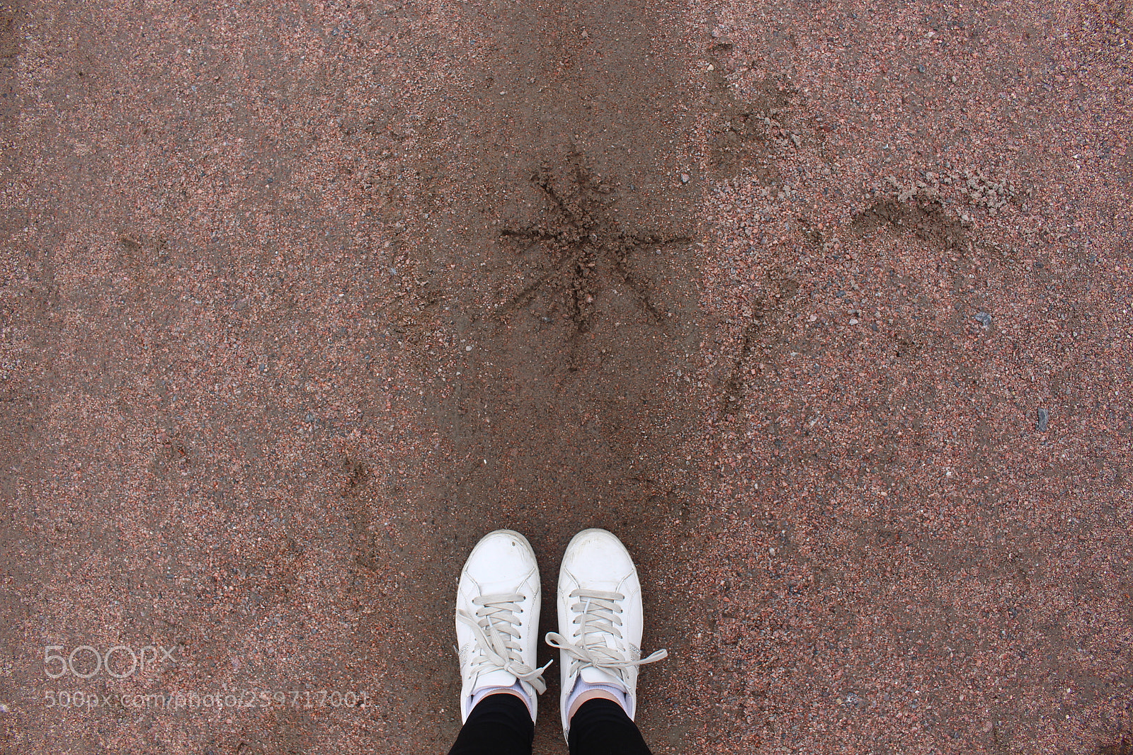 Canon EOS 700D (EOS Rebel T5i / EOS Kiss X7i) sample photo. Experiences photography