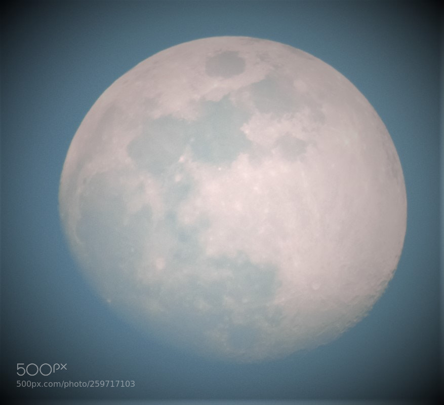 Nikon D5100 sample photo. Dsc photography