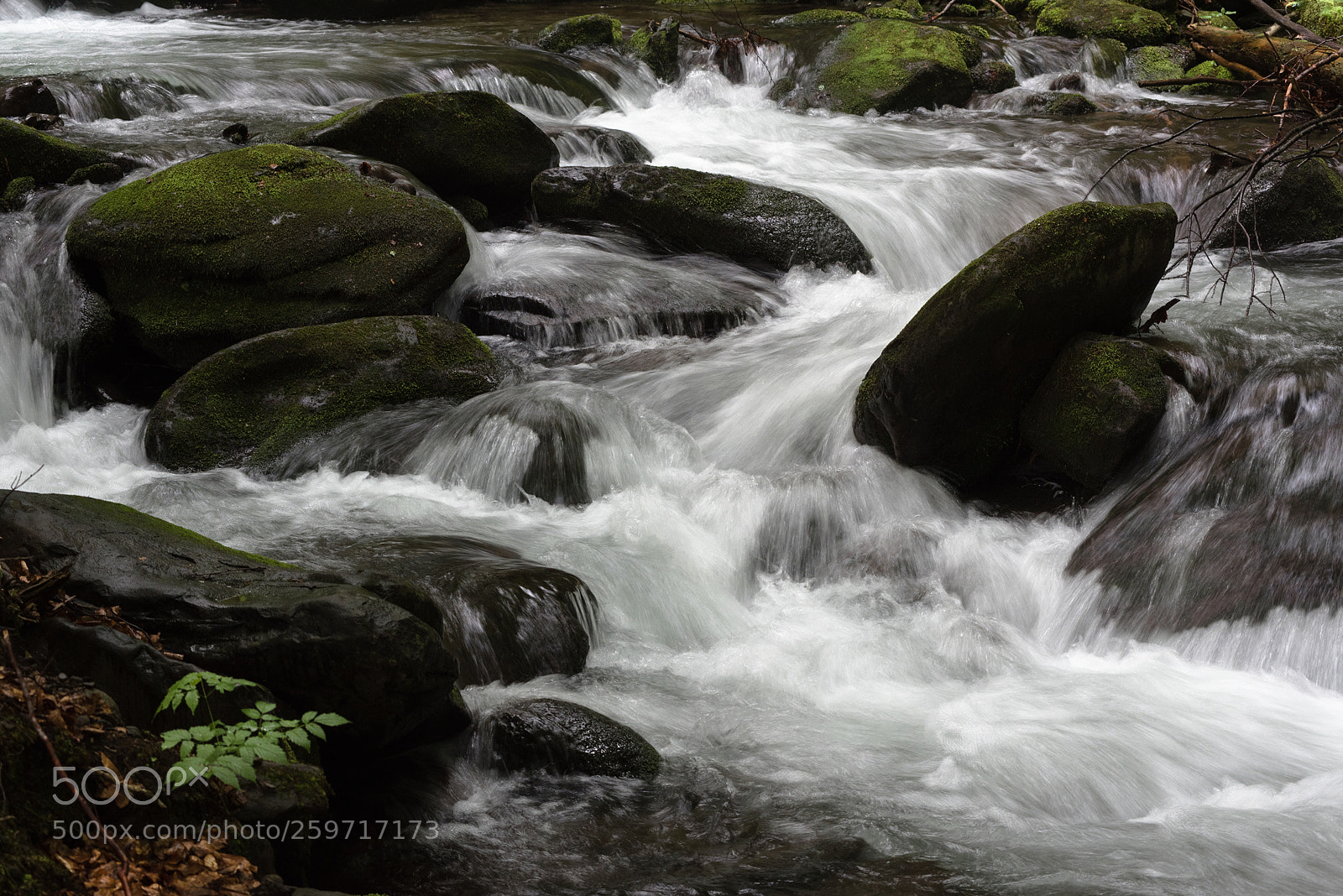 Nikon D750 sample photo. Water flow photography