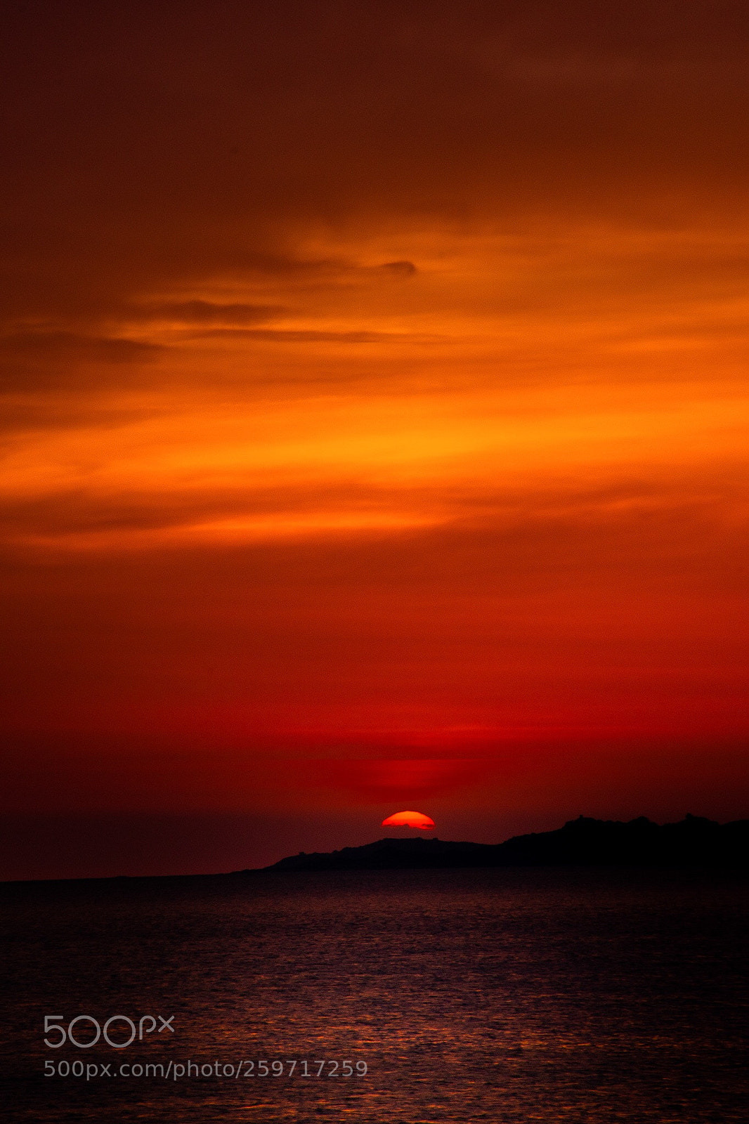 Nikon D7500 sample photo. Red sun photography