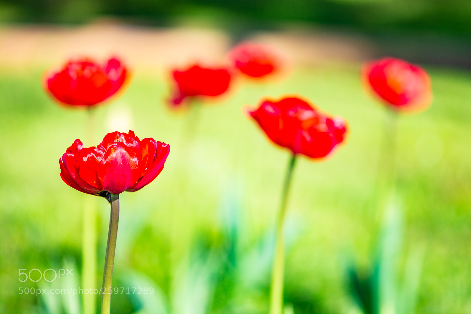 Nikon D7100 sample photo. Day 795 photography