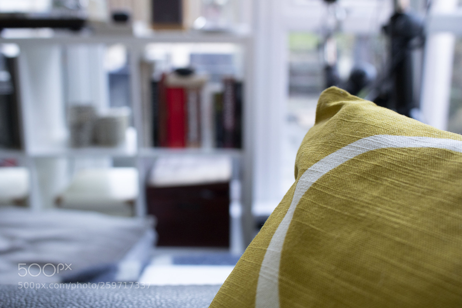 Canon EOS 750D (EOS Rebel T6i / EOS Kiss X8i) sample photo. Cushion photography