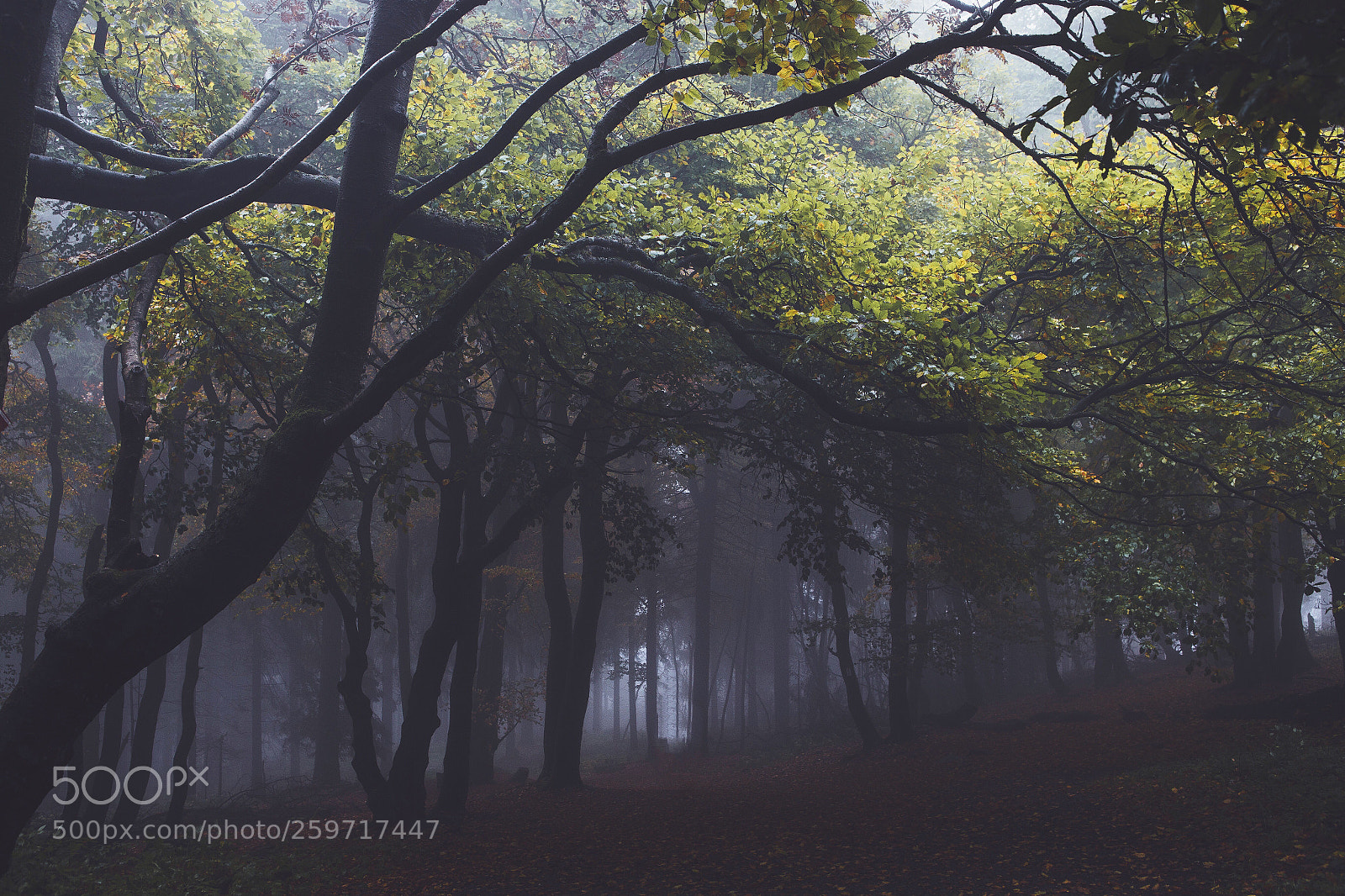 Canon EOS 6D sample photo. Eerie  photography