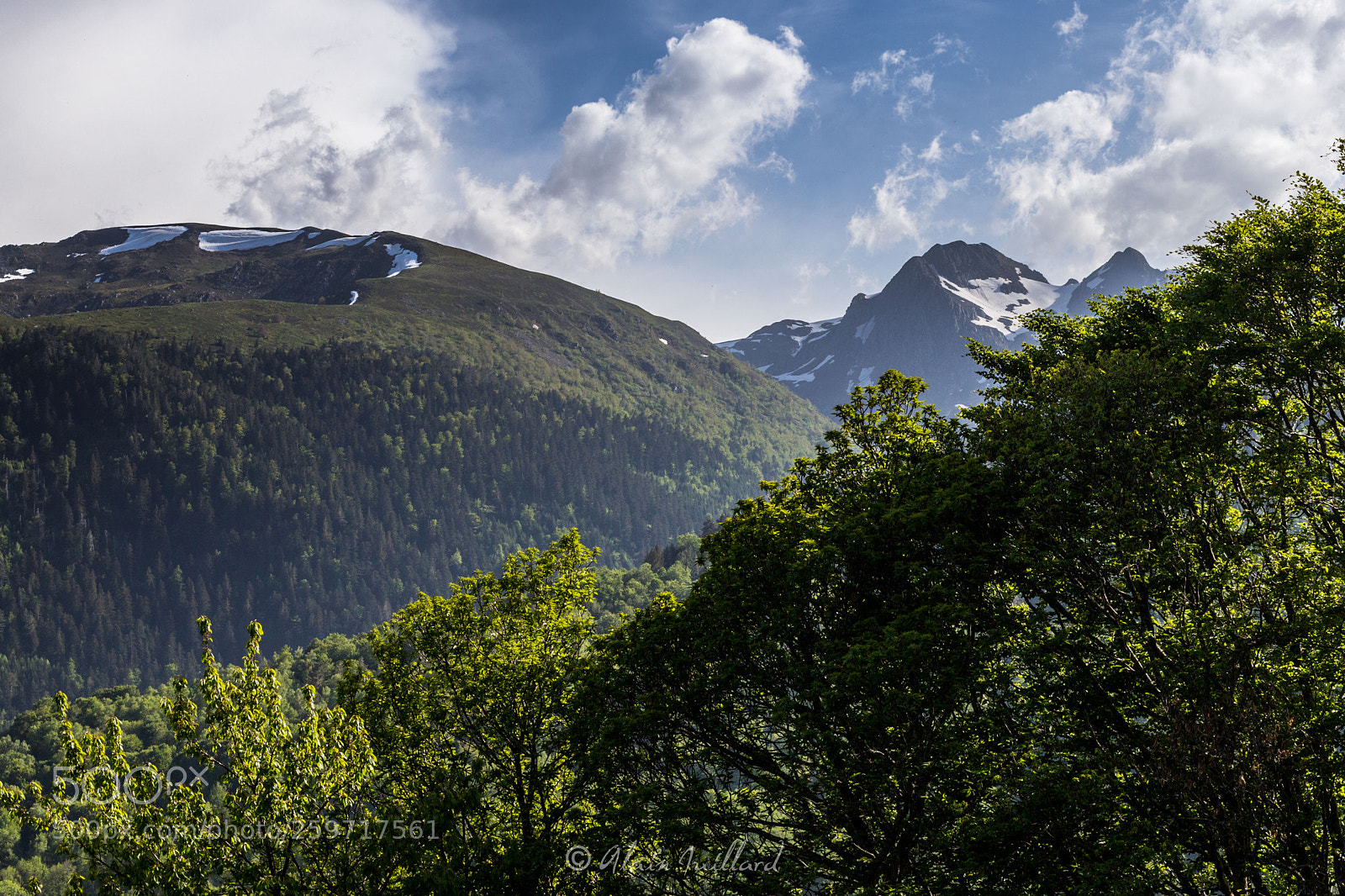 Canon EOS 6D Mark II sample photo. Pic de la journalade photography