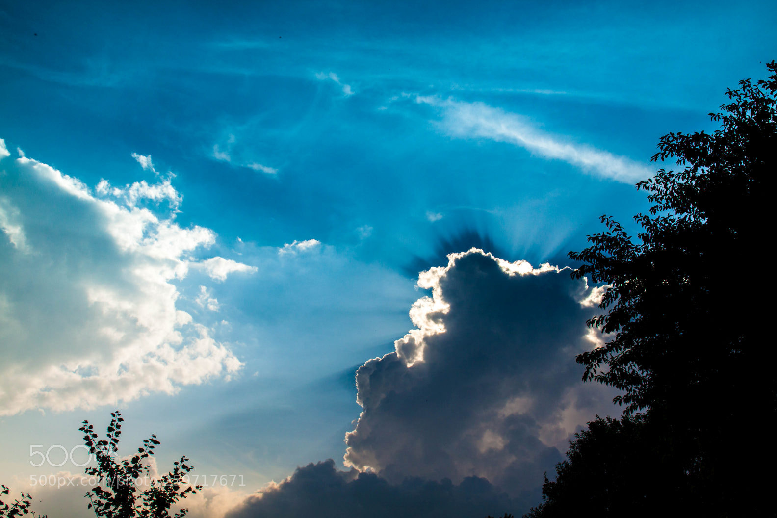 Canon EOS 50D sample photo. Img photography