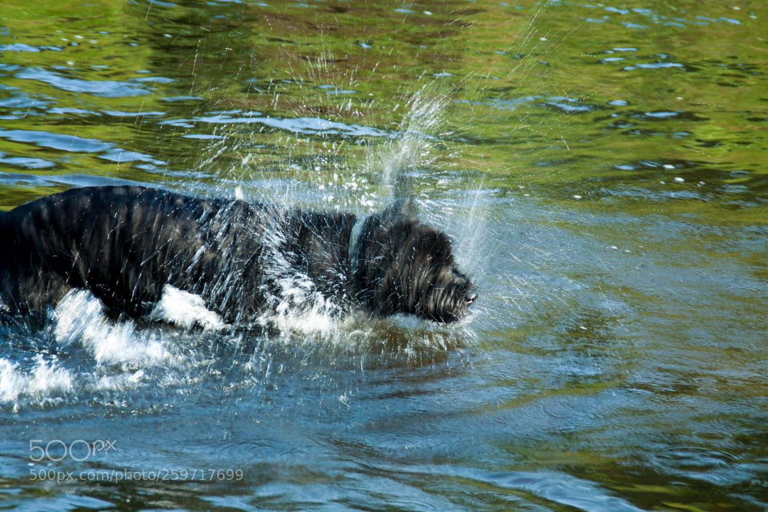 Canon EOS 50D sample photo. Img photography