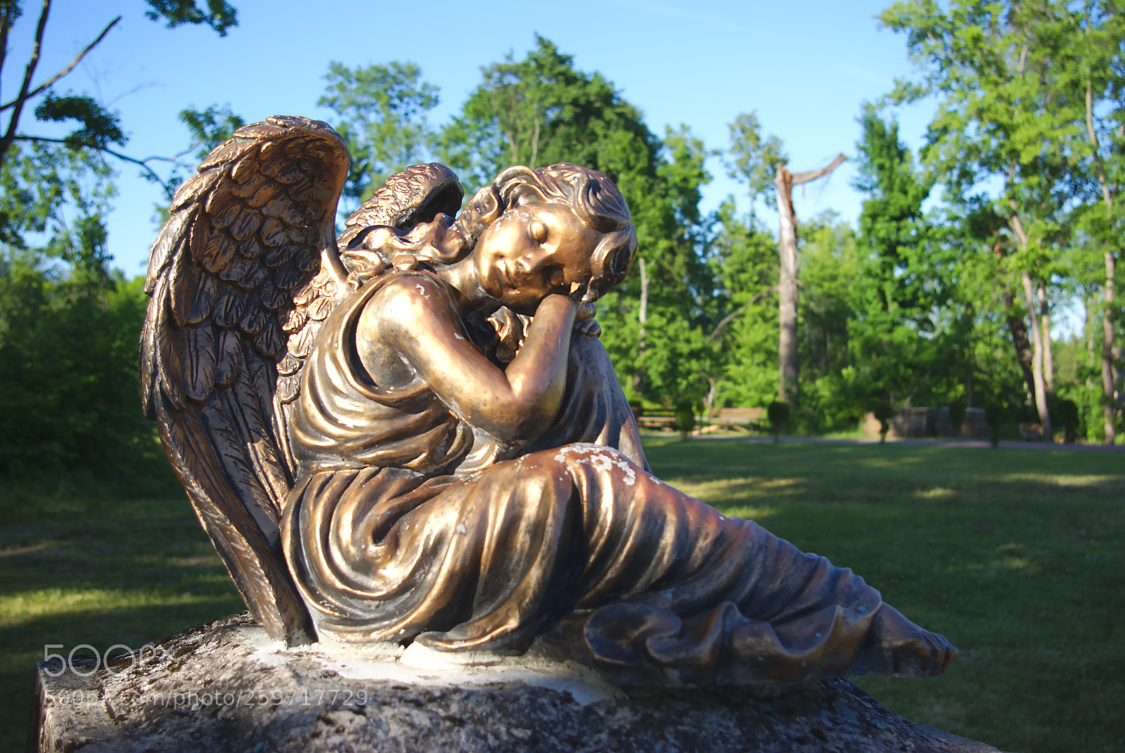 Pentax K10D sample photo. Dreaming photography