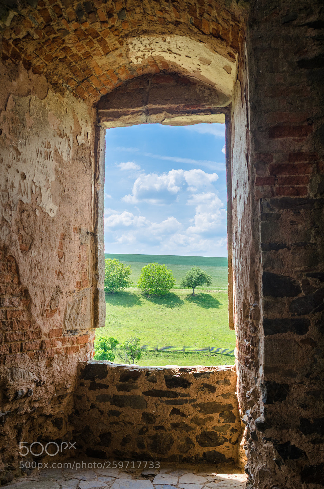 Nikon D7000 sample photo. Spring window photography
