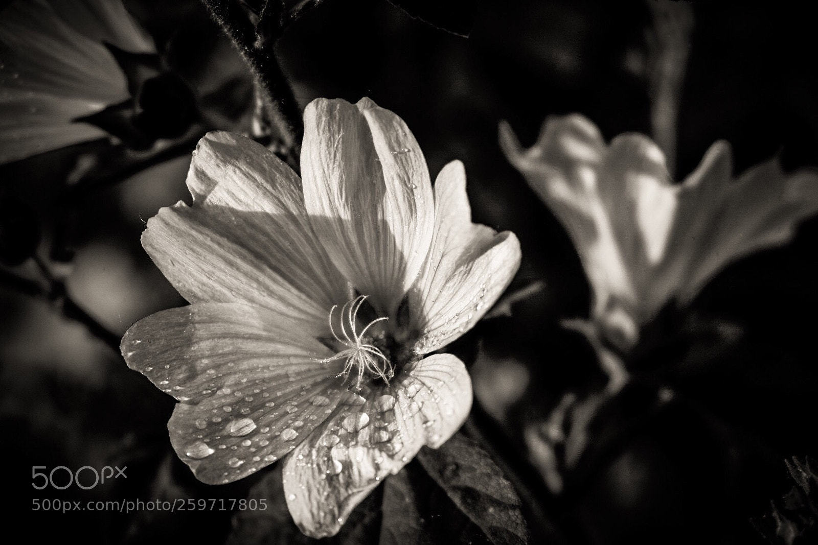 Fujifilm X-T20 sample photo. Untitled photography