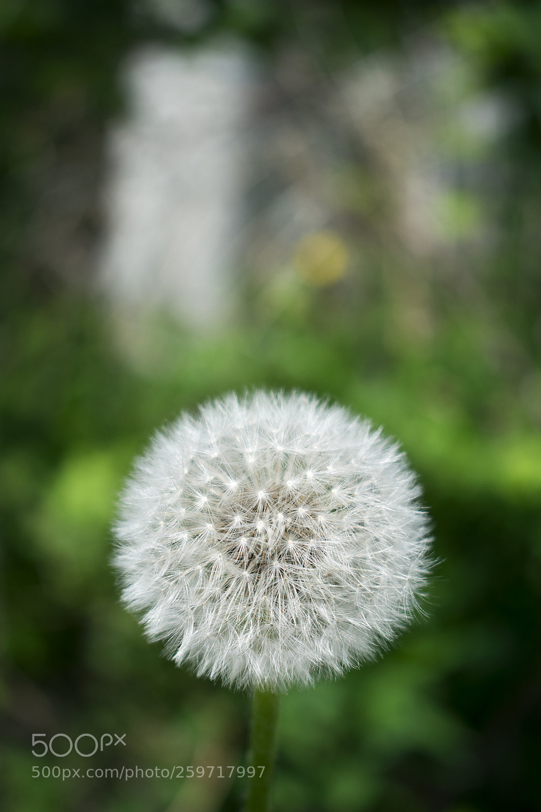 Nikon D3400 sample photo. Dsc photography