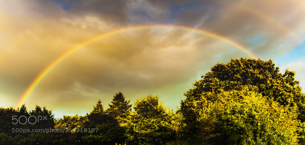 Canon EOS 50D sample photo. Pano photography