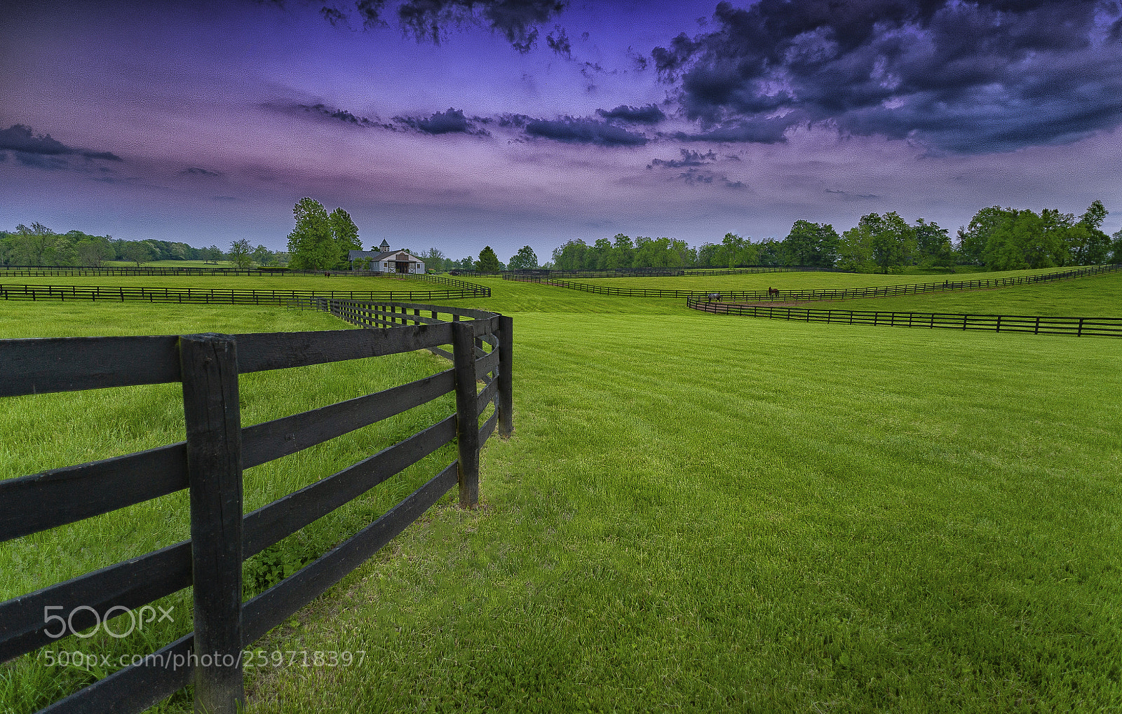 Nikon D700 sample photo. Lexington horse farm photography