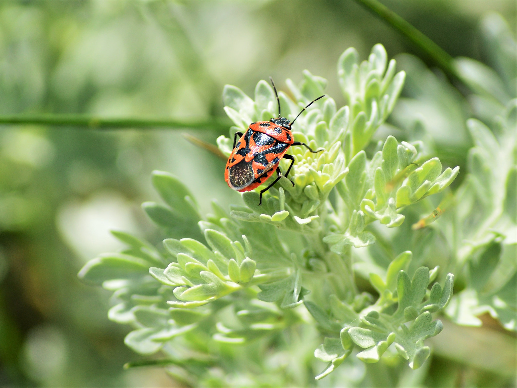 Nikon D3200 sample photo