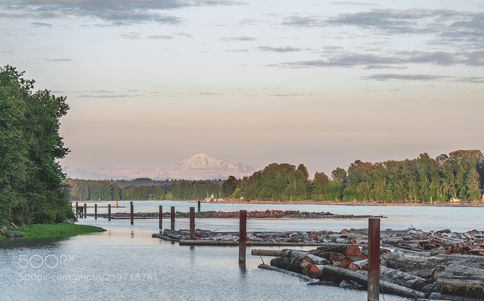 Olympus OM-D E-M5 II sample photo. Mount baker photography