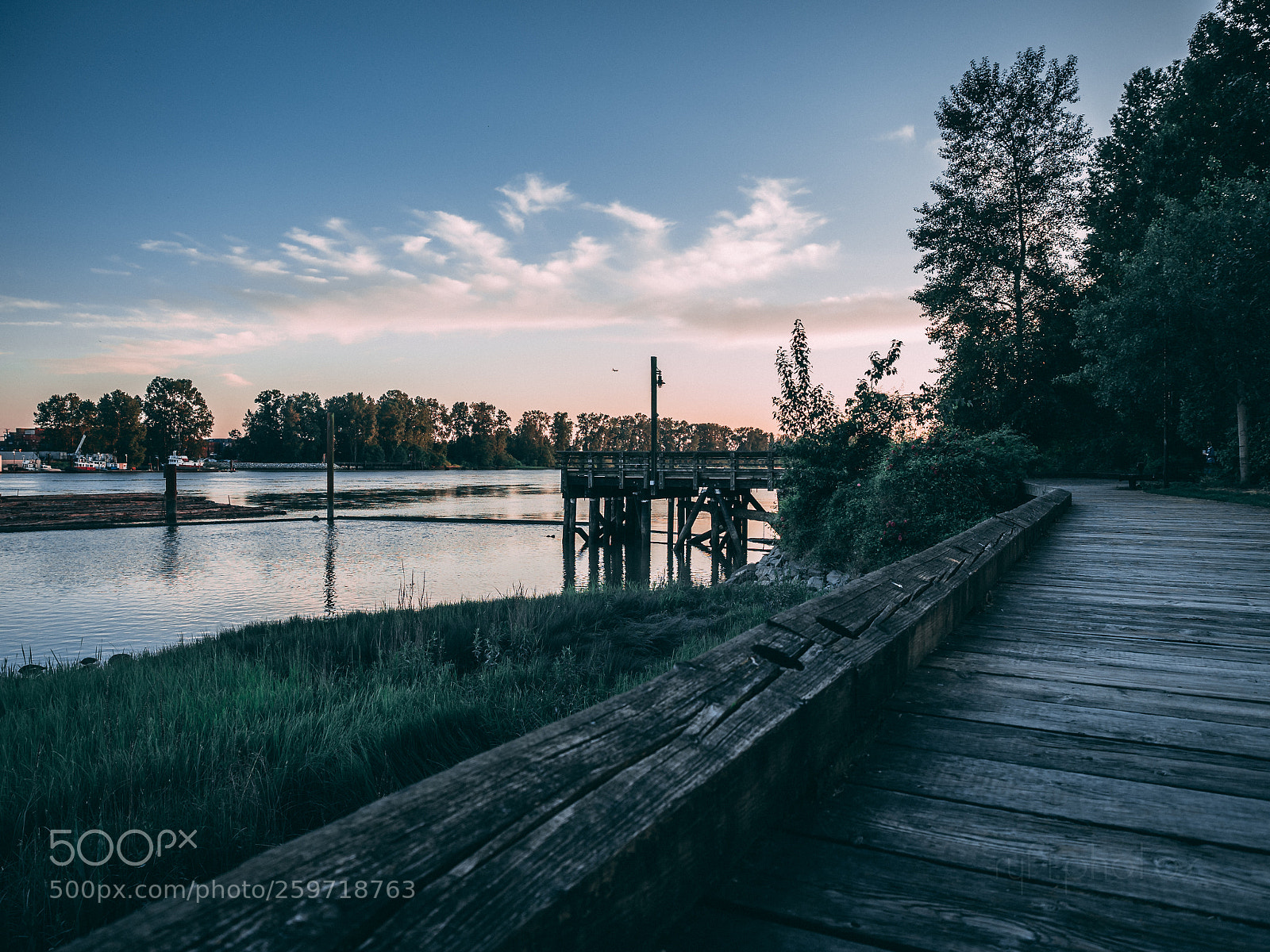 Olympus OM-D E-M5 II sample photo. Boardwalk sunset photography