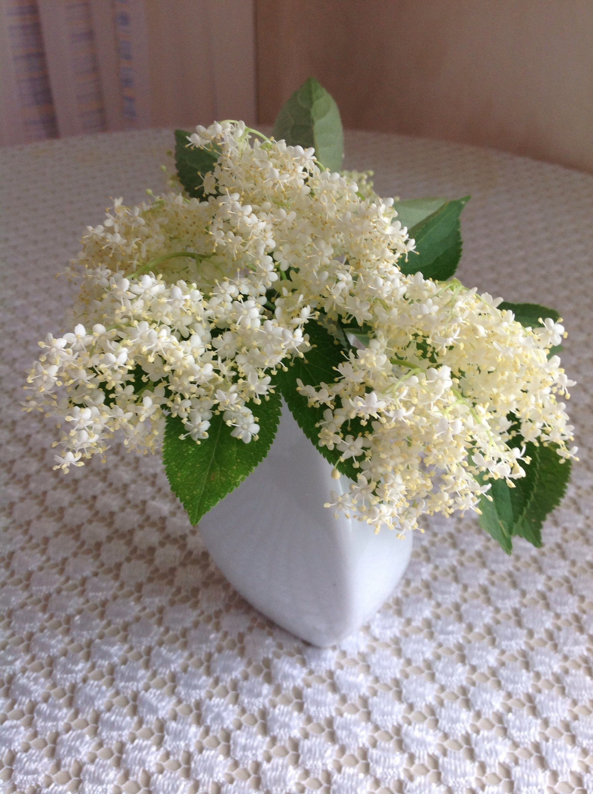Apple iPad sample photo