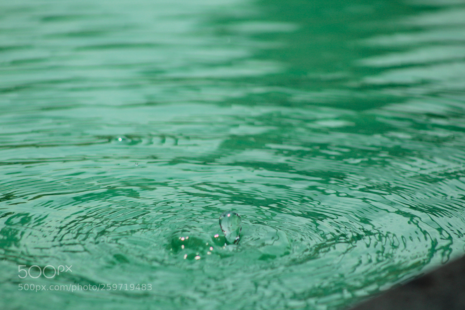 Canon EOS 1300D (EOS Rebel T6 / EOS Kiss X80) sample photo. Water drop... photography
