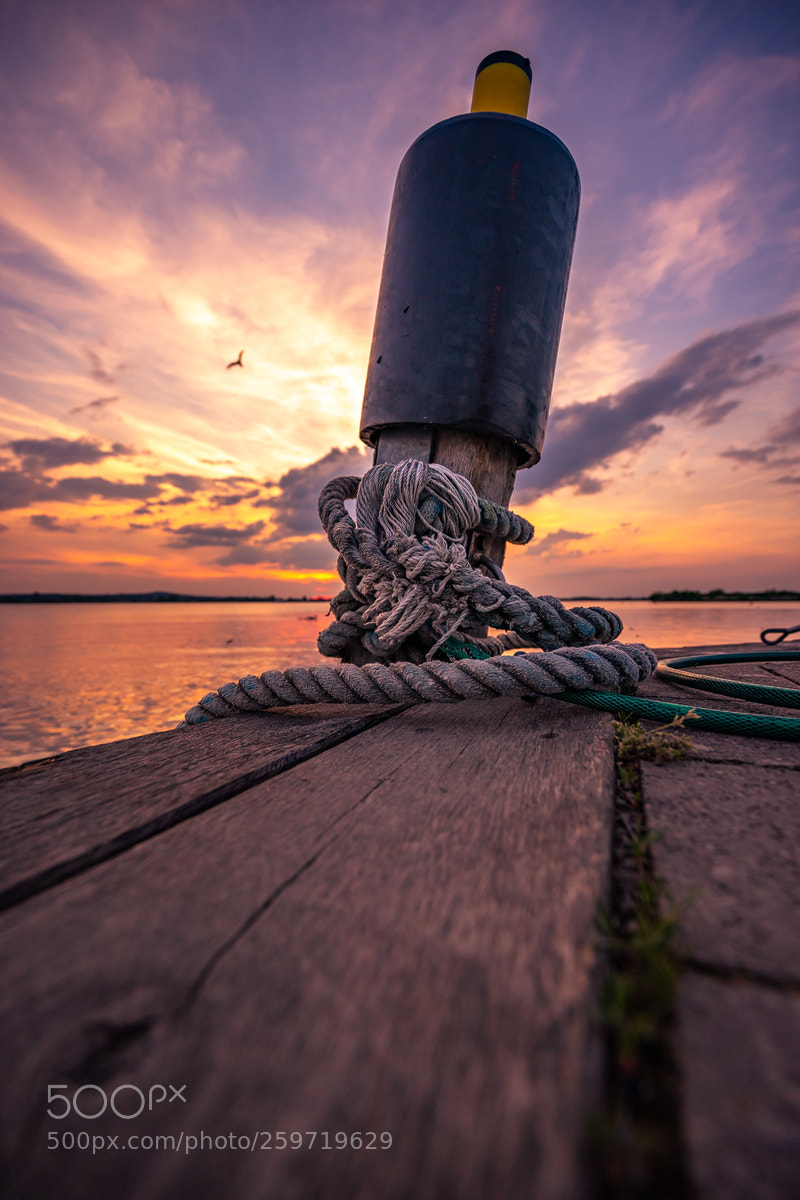 Sony a7 II sample photo. Pfosten im sonnenuntergang photography
