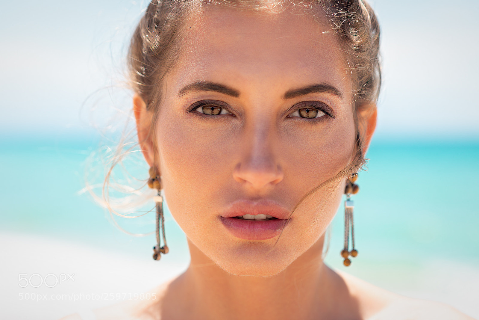 Nikon D810 sample photo. Close-up photography