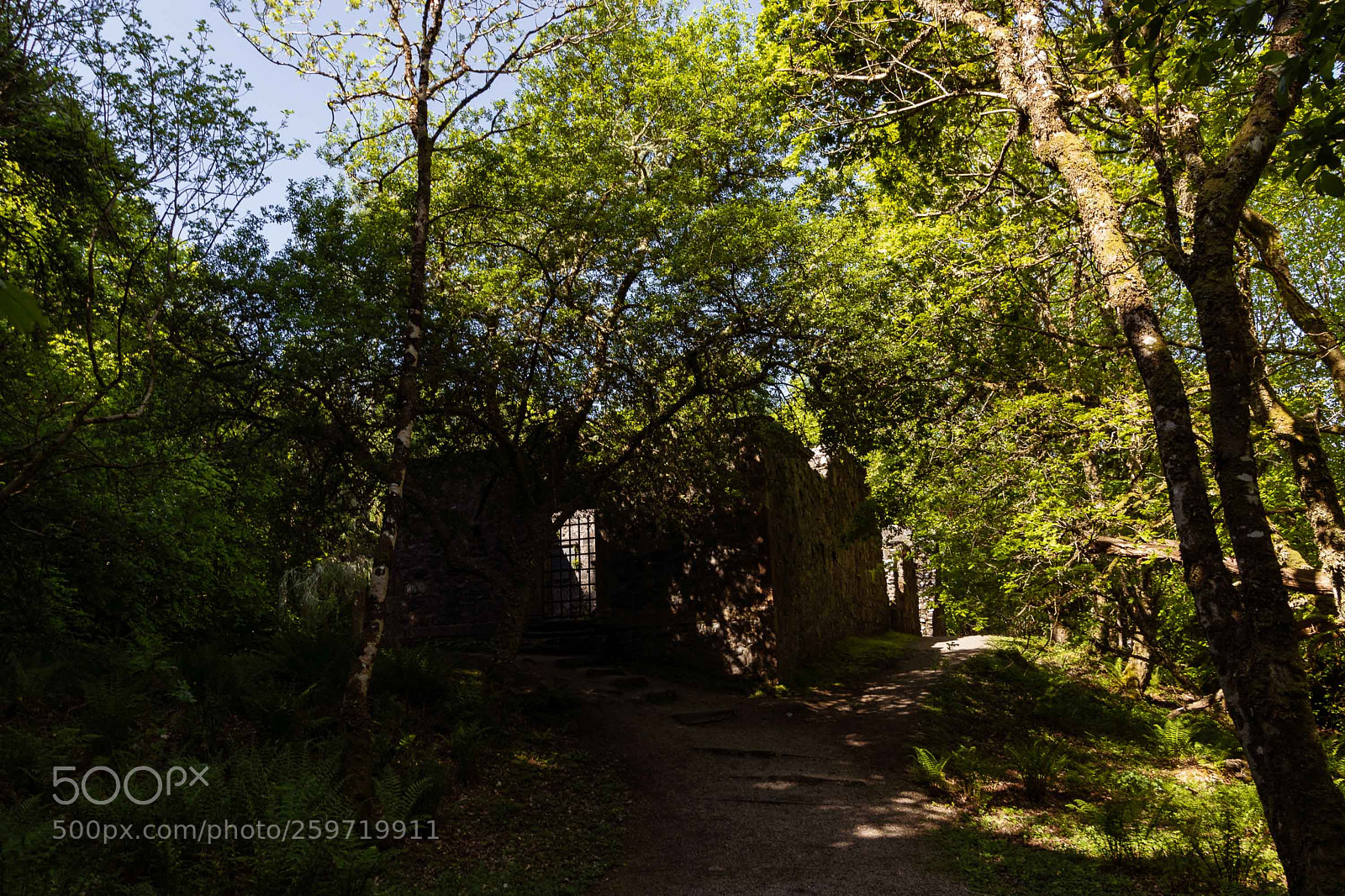Canon EOS M5 sample photo. Chapel ruin in the photography