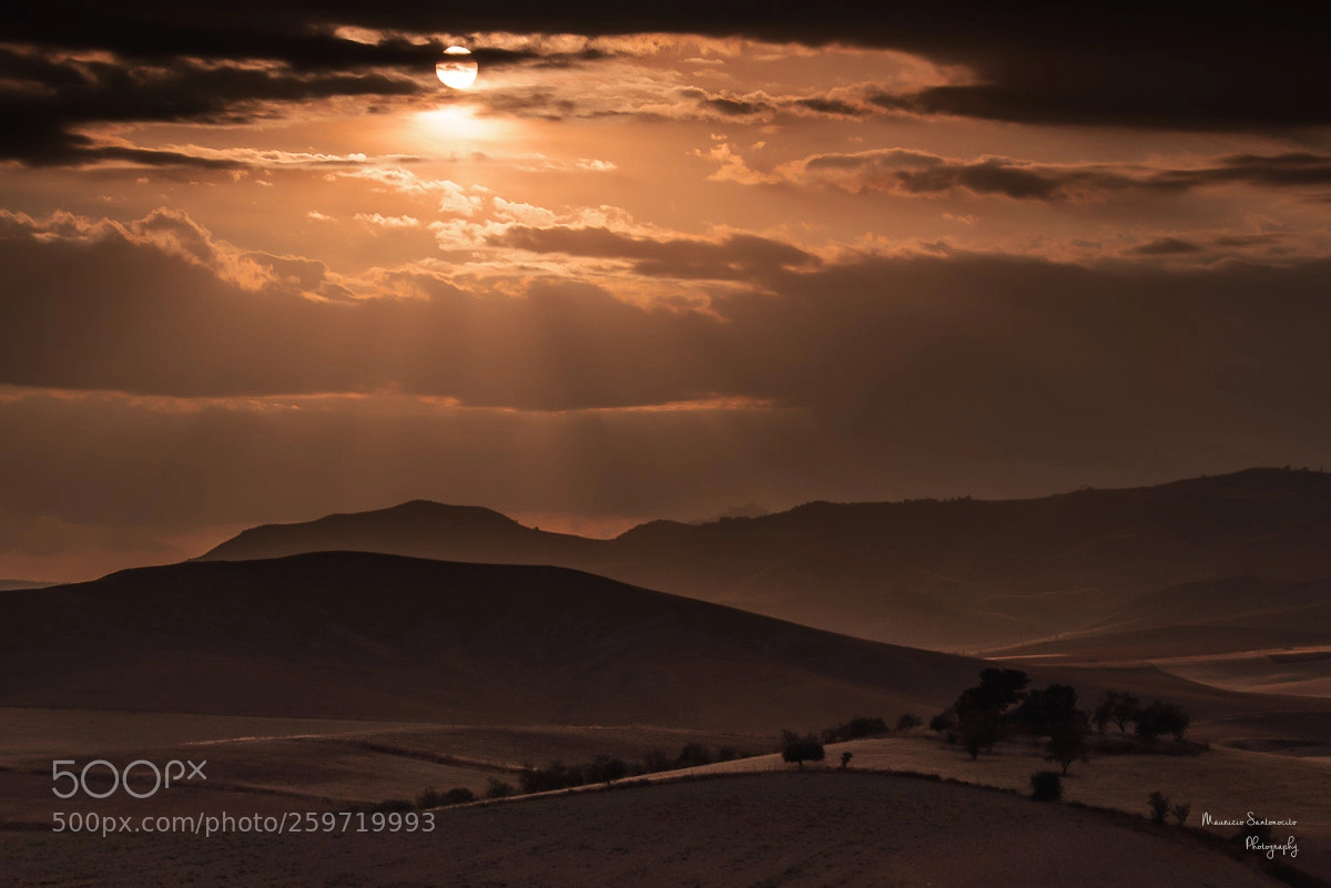 Nikon D750 sample photo. Sunset on the sicilian photography