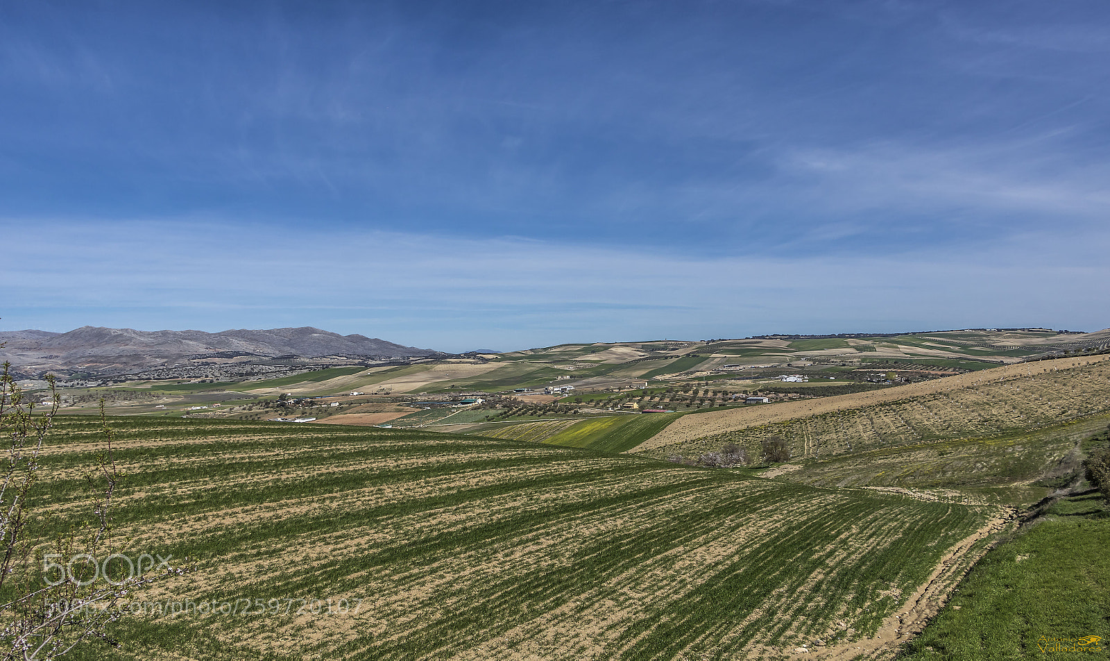 Canon EOS 7D Mark II sample photo. Rural landscapes photography