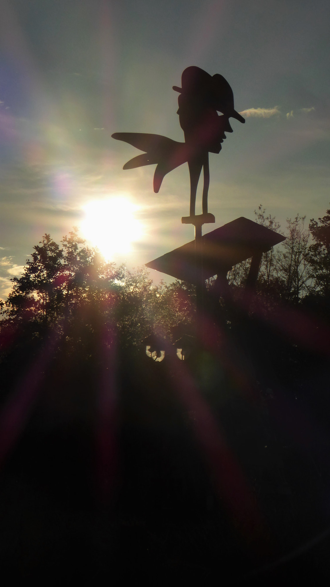 Panasonic DMC-TZ71 sample photo. Sun worshipper photography