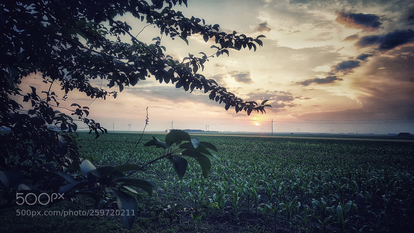 Samsung Galaxy Note5 sample photo. Sunset photography
