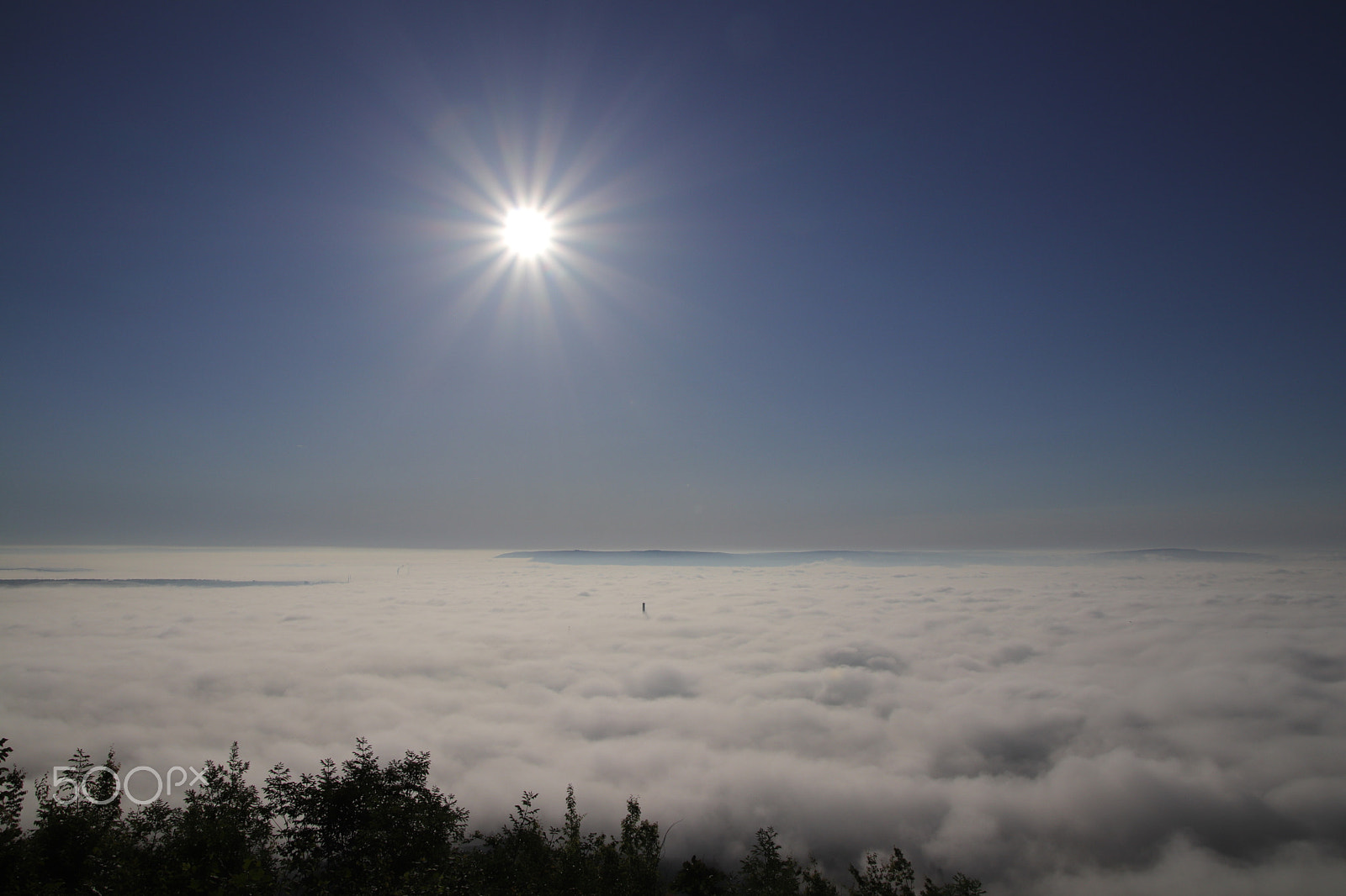 Canon EOS 800D (EOS Rebel T7i / EOS Kiss X9i) + Canon TS-E 90mm F2.8 Tilt-Shift sample photo. Sea of fog photography