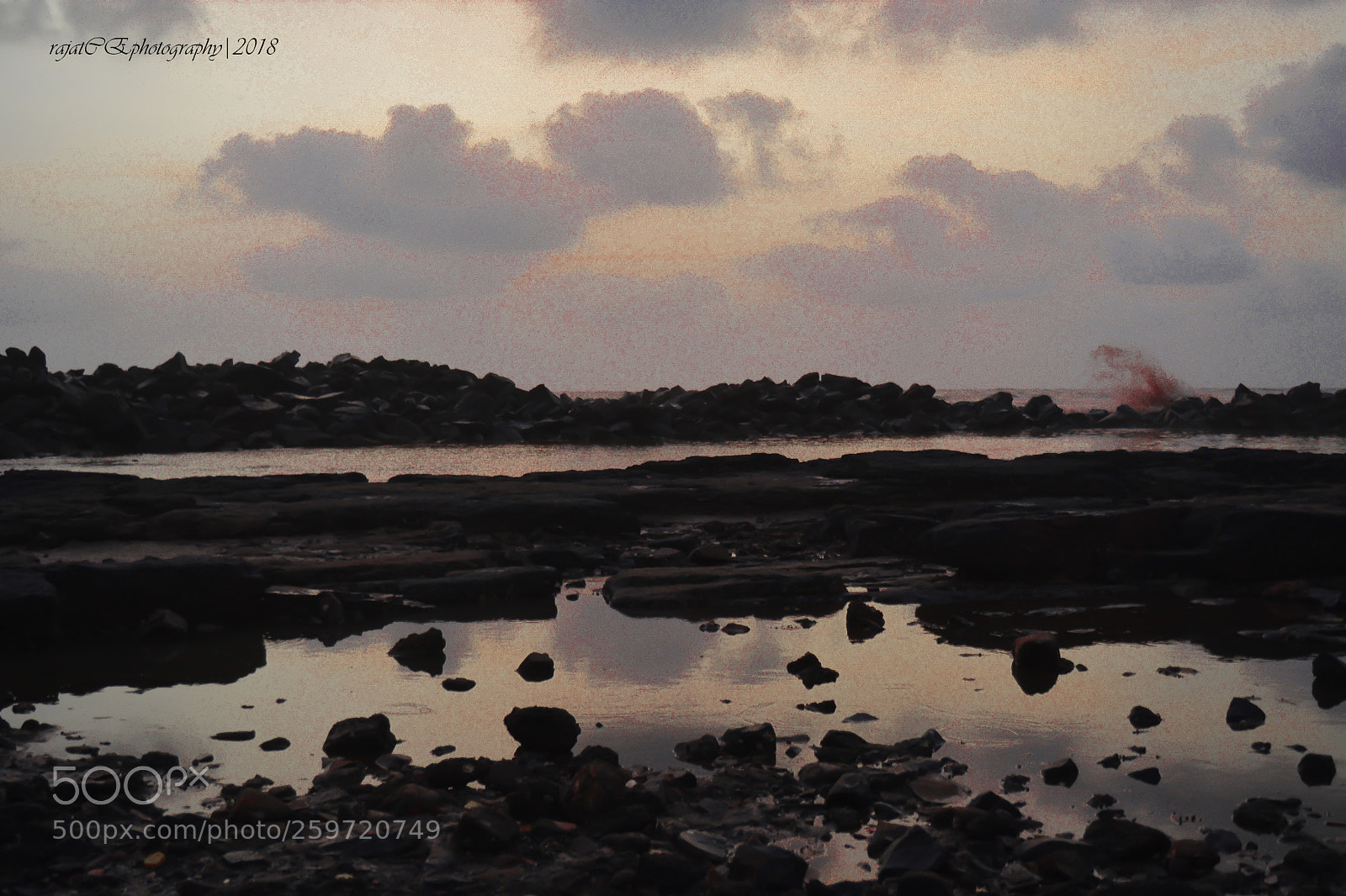 Nikon D5200 sample photo. Untitled photography