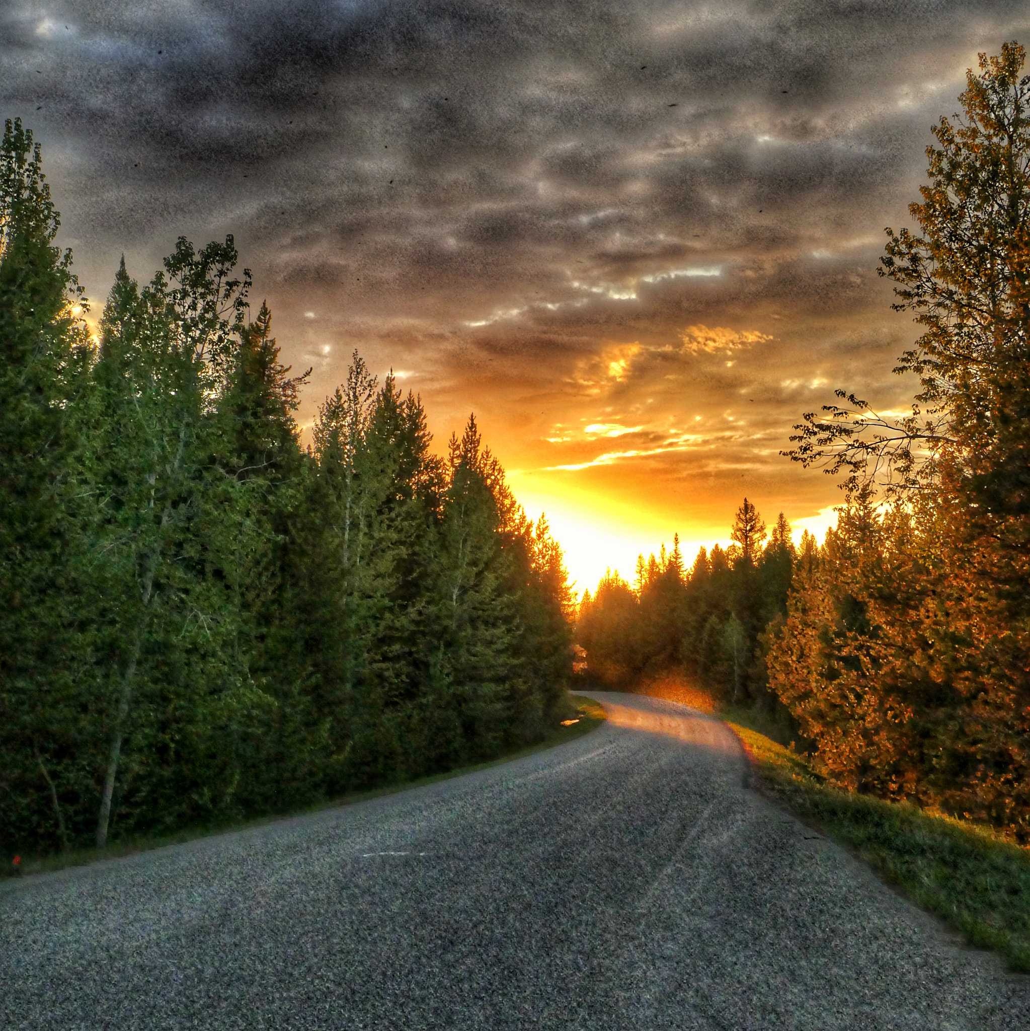 Panasonic DC-ZS70 sample photo. Sunsetting along camas road, gnp photography