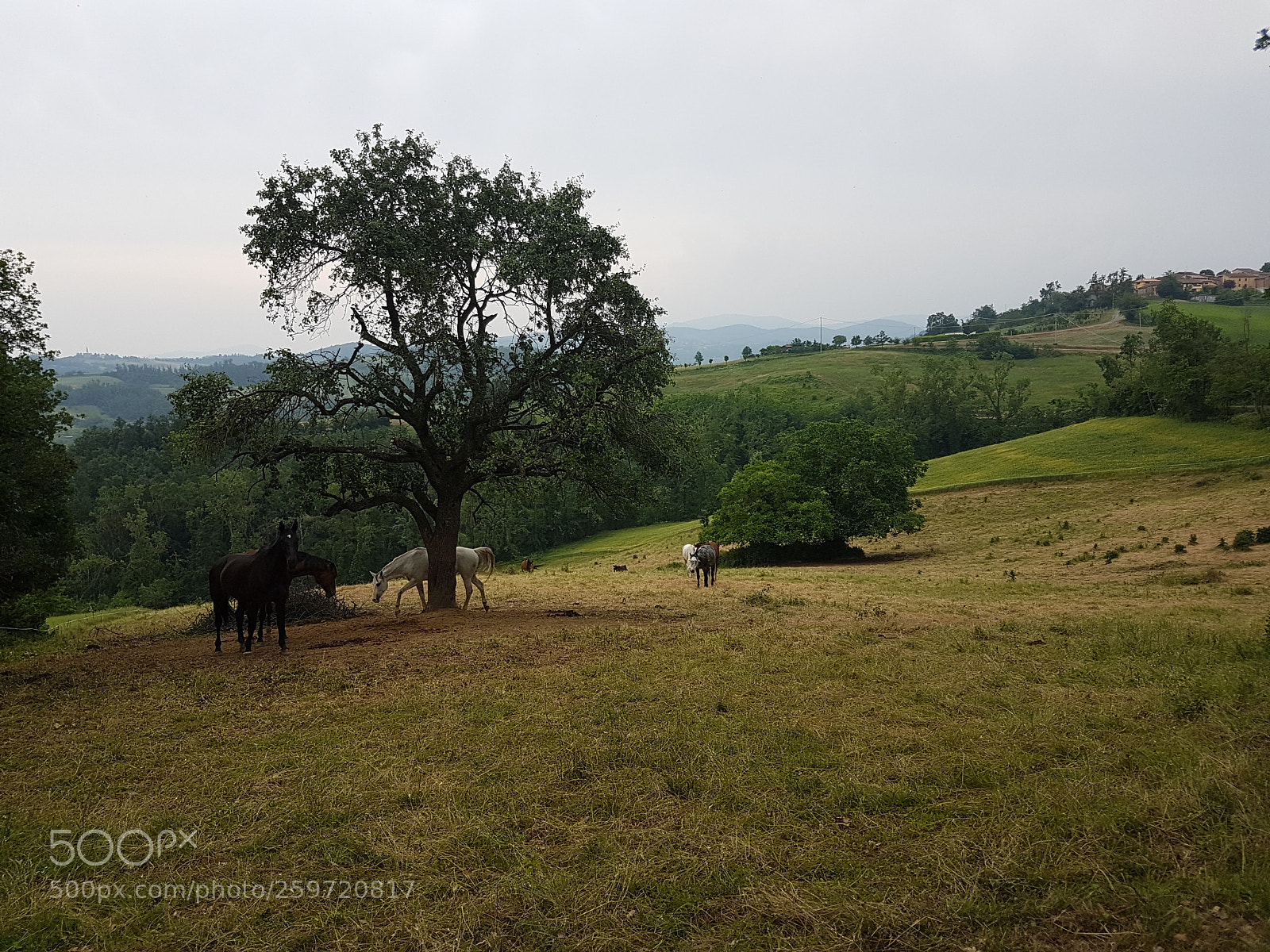 Samsung Galaxy S7 Edge sample photo. La collina e i photography