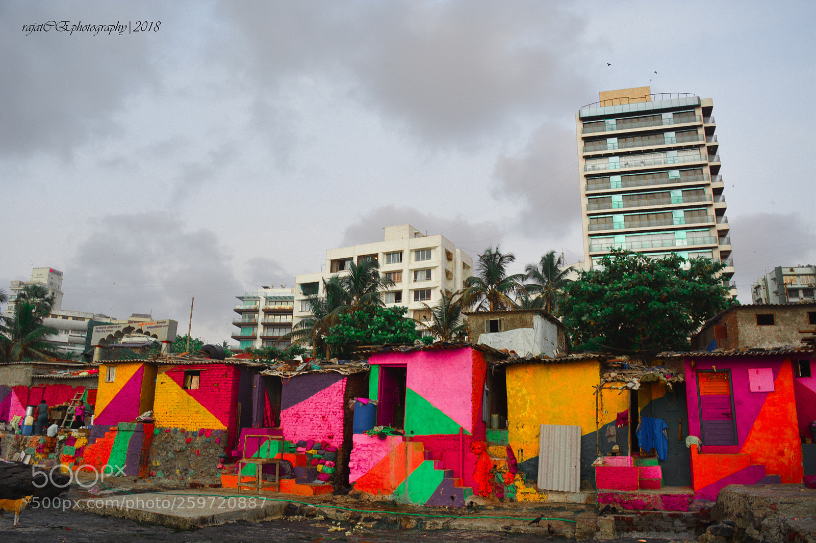 Nikon D5200 sample photo. Untitled photography