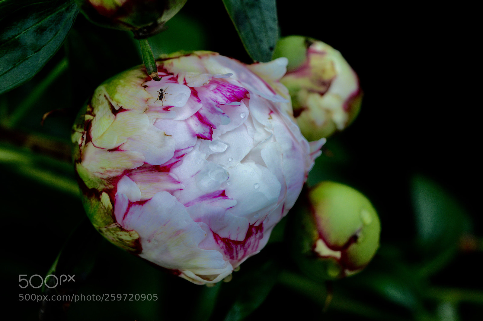 Nikon D7100 sample photo. Untitled photography