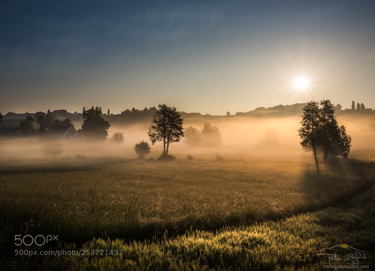 Nikon D810 sample photo. Morning freshnes photography